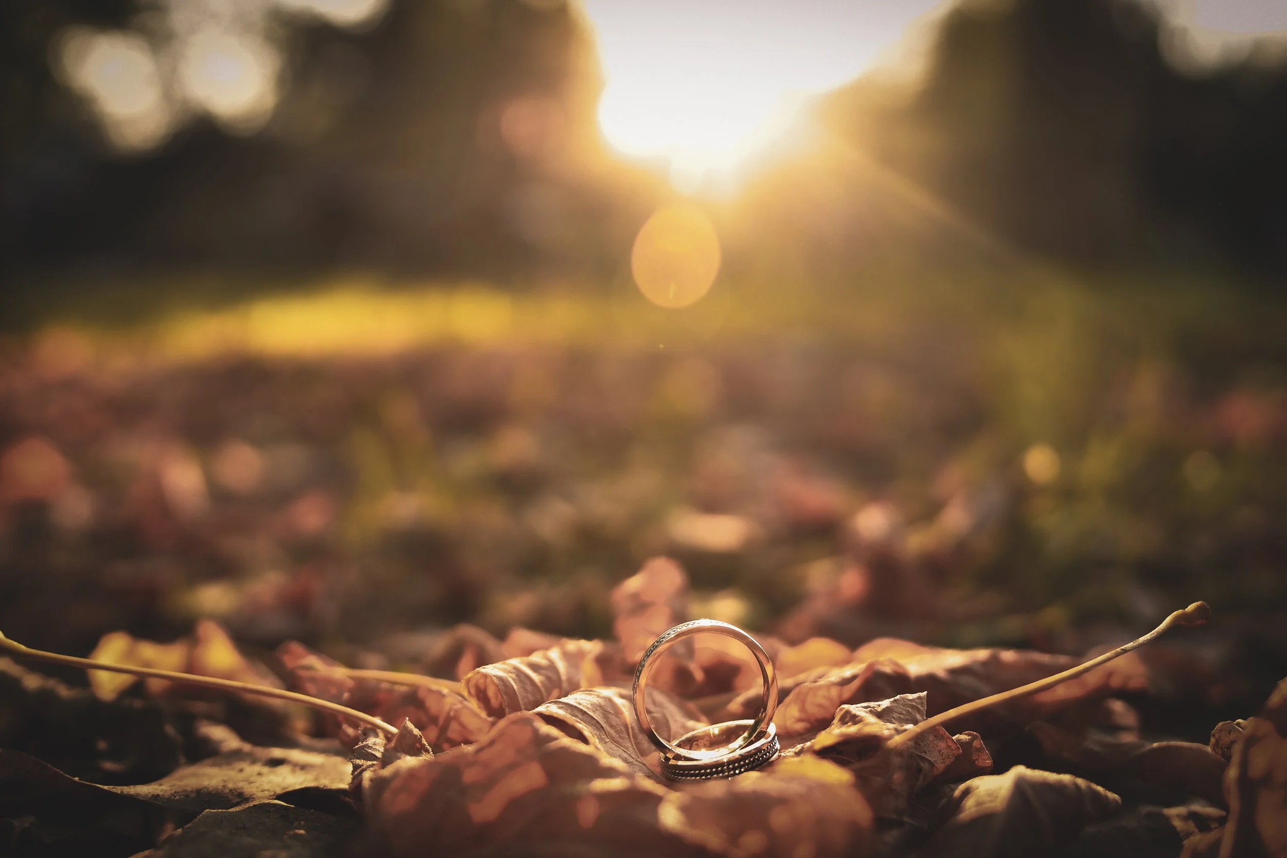 Portofoliu nunta 2022 (105 of 175).jpg