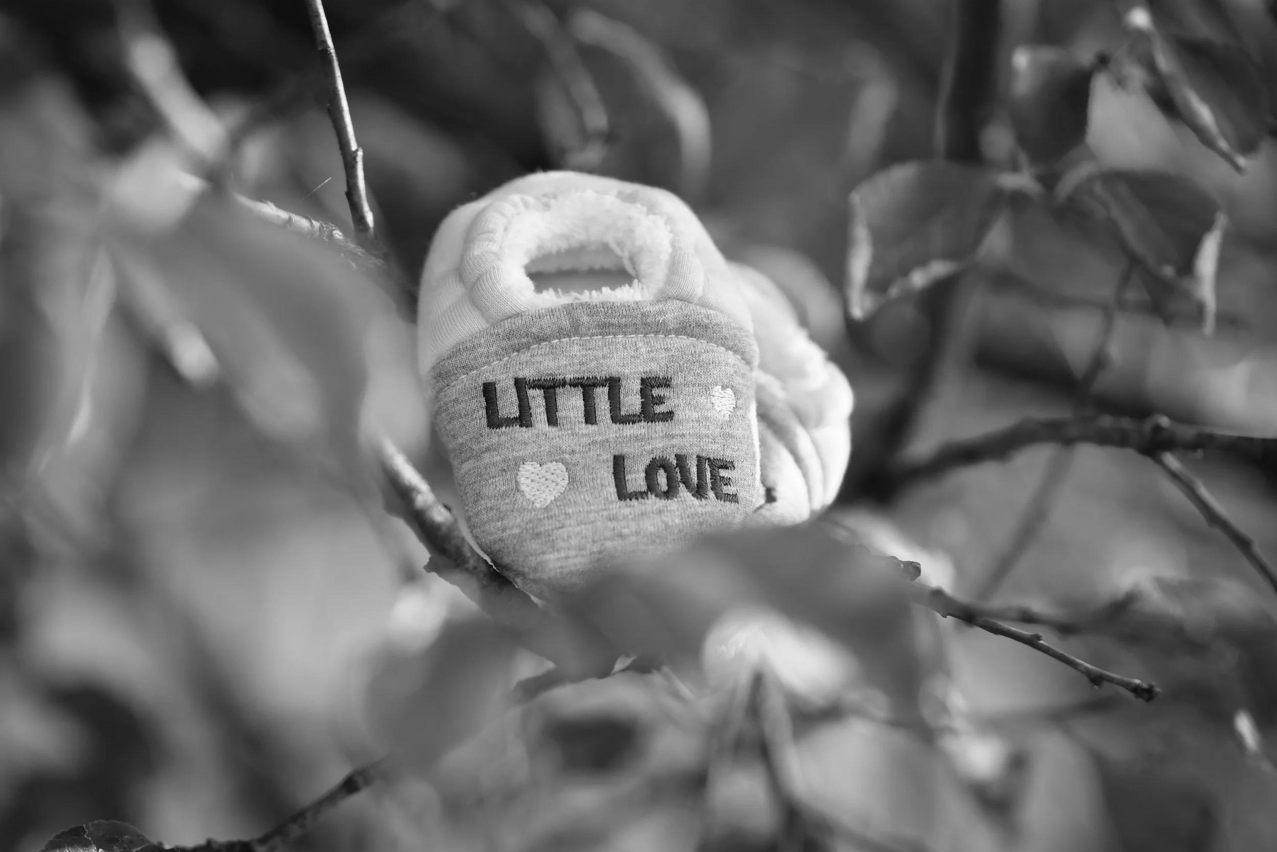 Shooting iulia 2 anisori (38 of 80).JPG