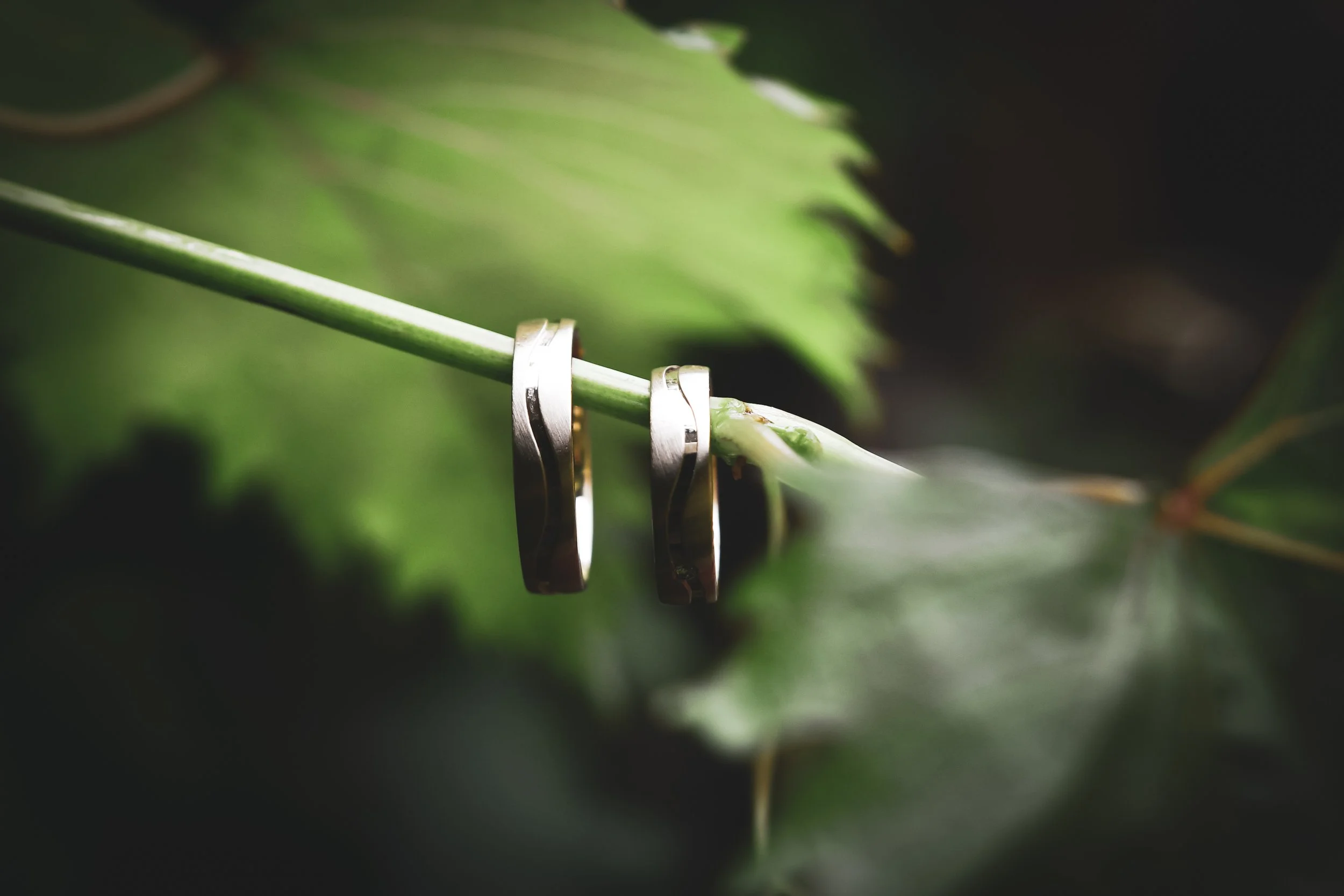 Portofoliu nunta 2022 (27 of 175).jpg