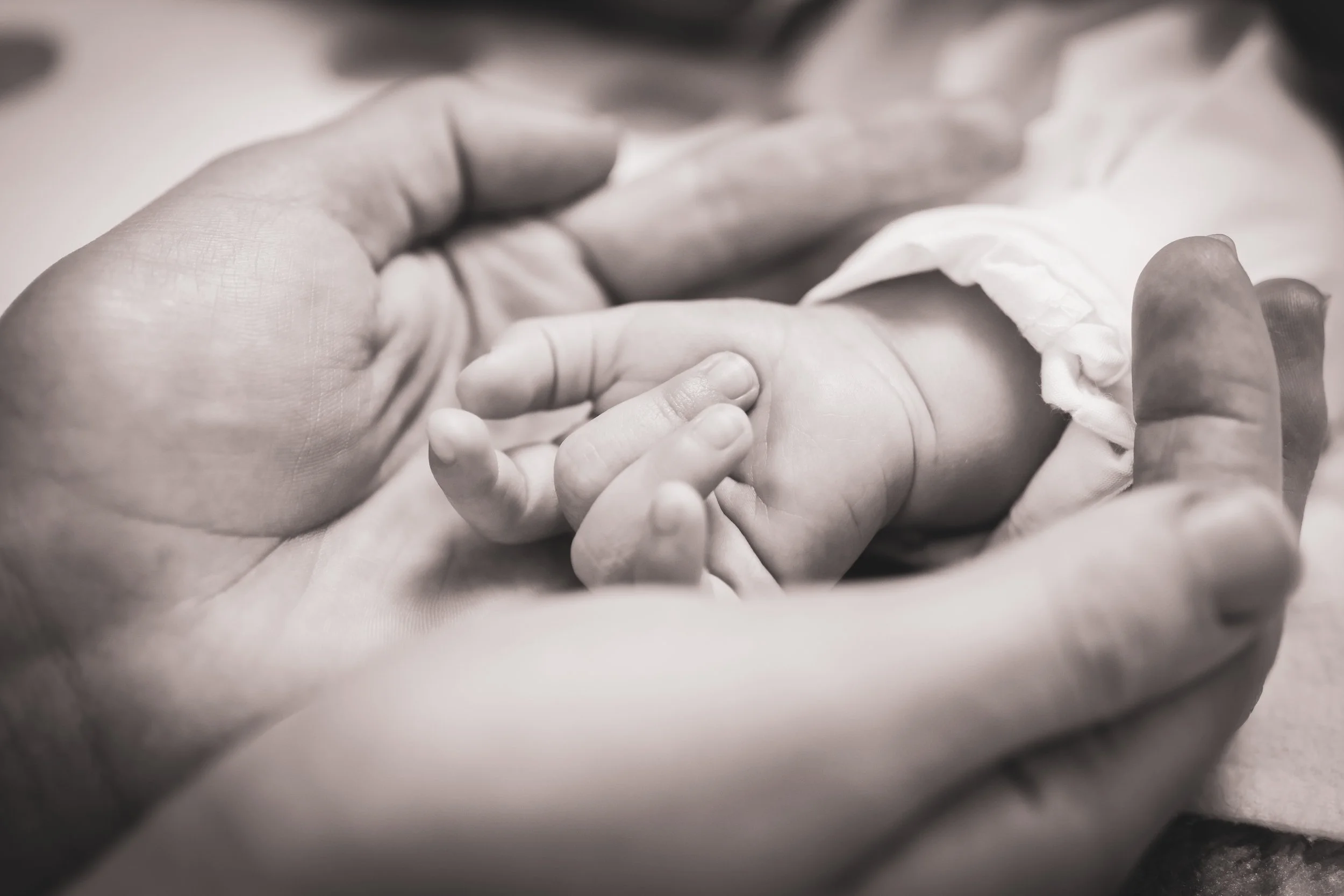 Portofoliu 2022 (15 of 87).jpg