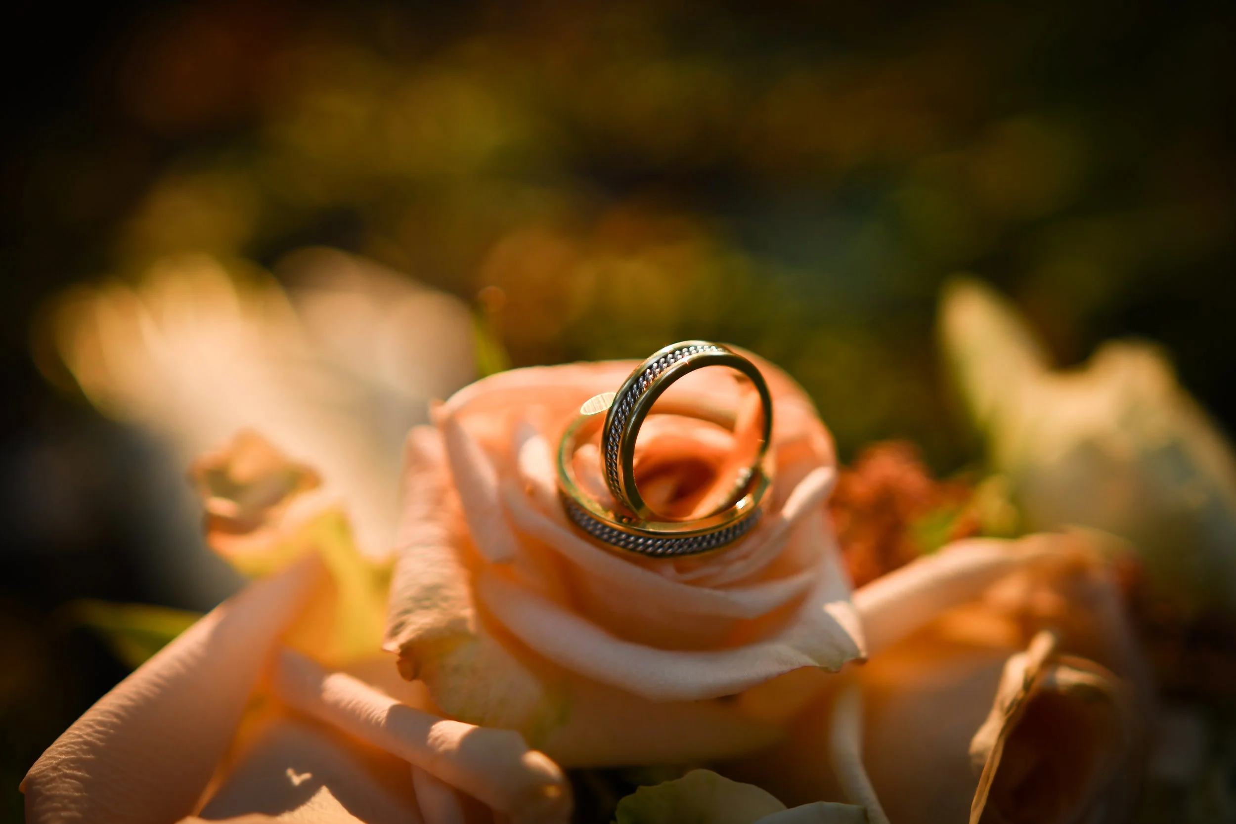 Nuntă Antonio și Cosmina 19.10.2019 (512 of 1314).jpg