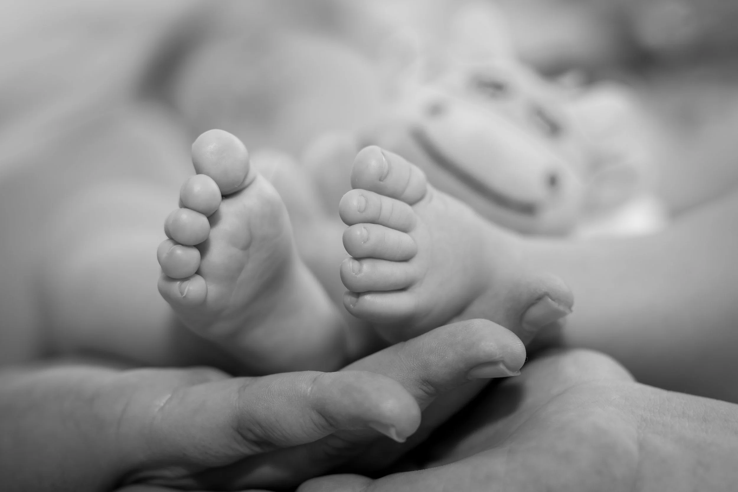 Portofoliu 2022 (12 of 87).jpg