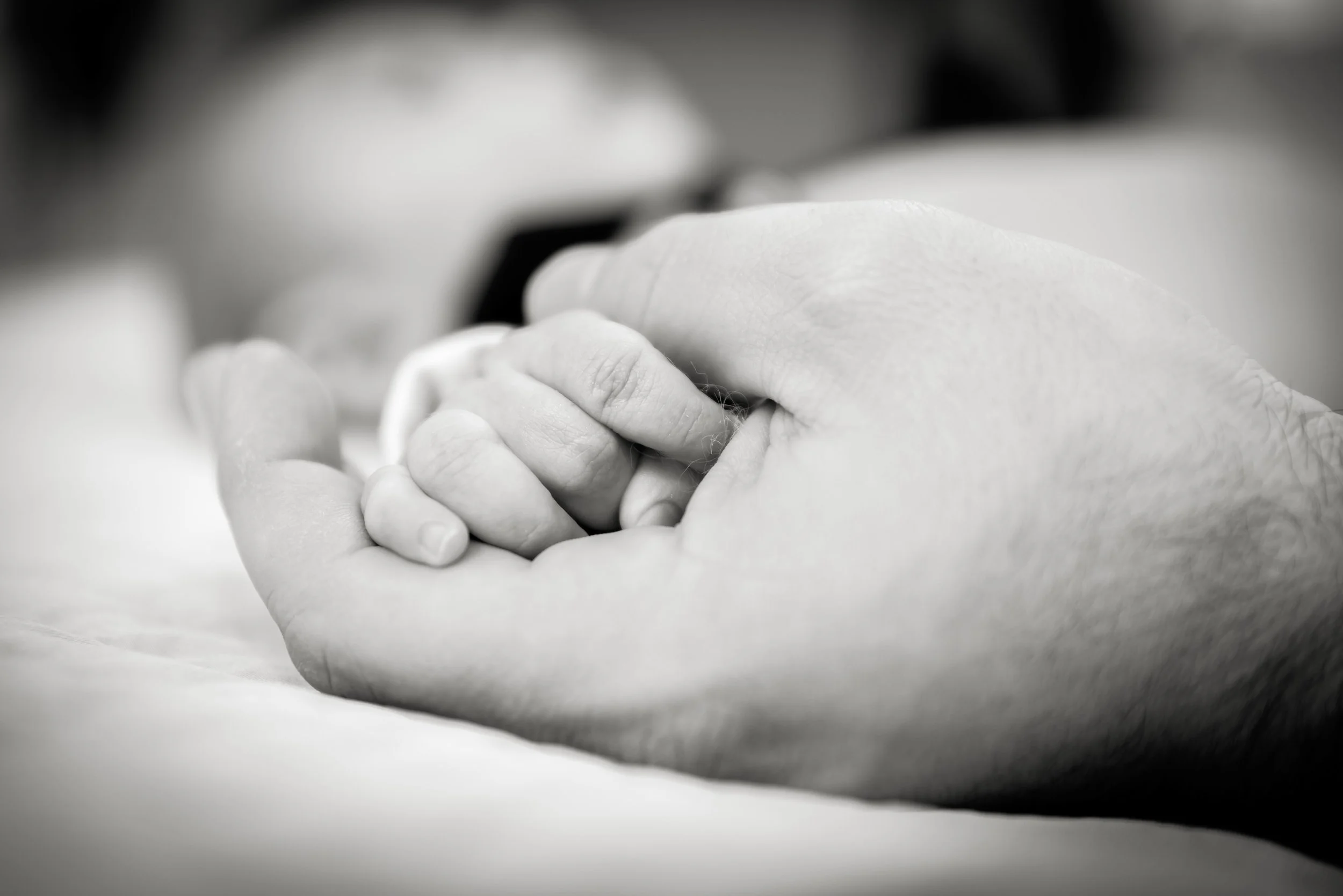 Portofoliu 2022 (7 of 87).jpg