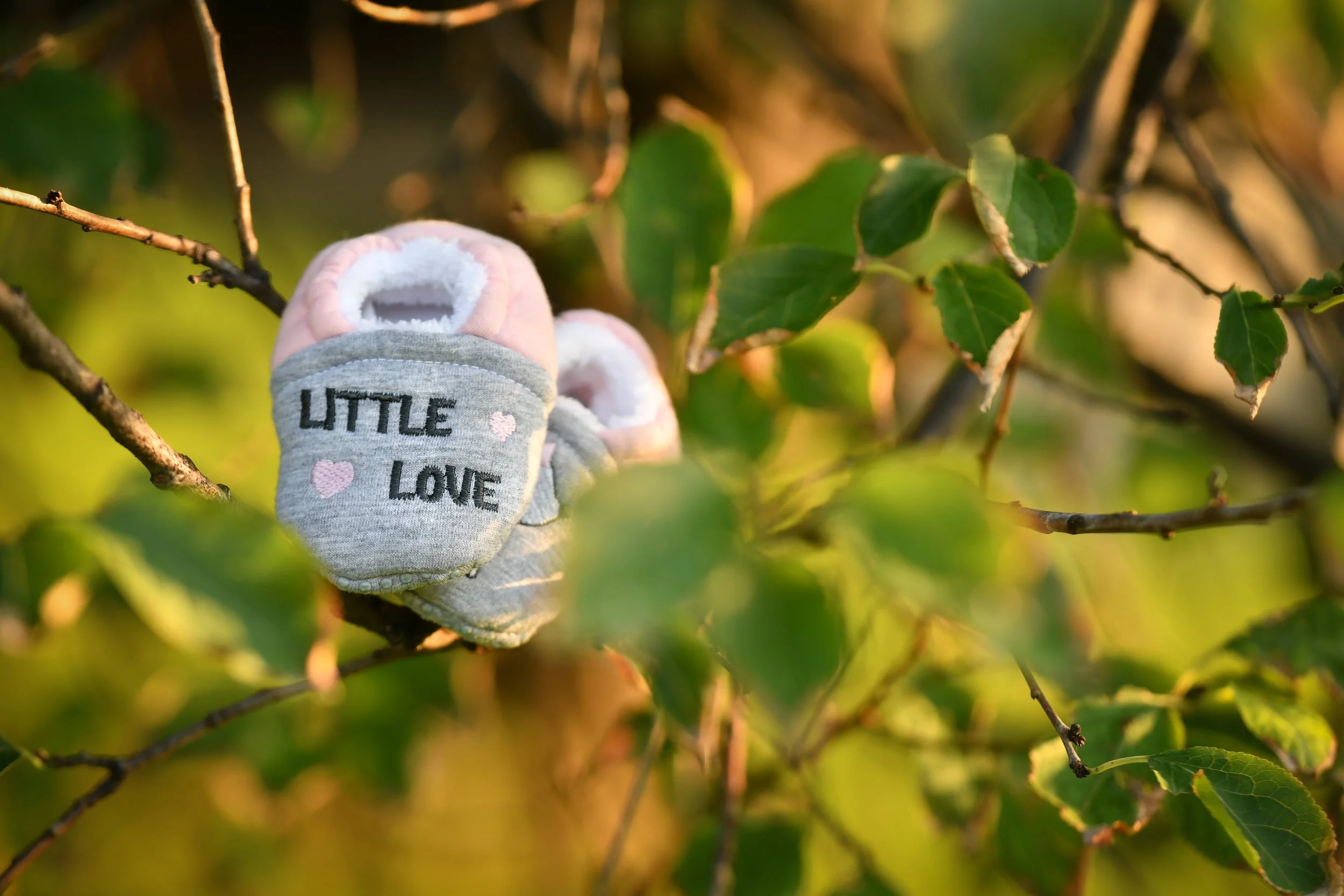 Shooting iulia 2 anisori (37 of 80).JPG