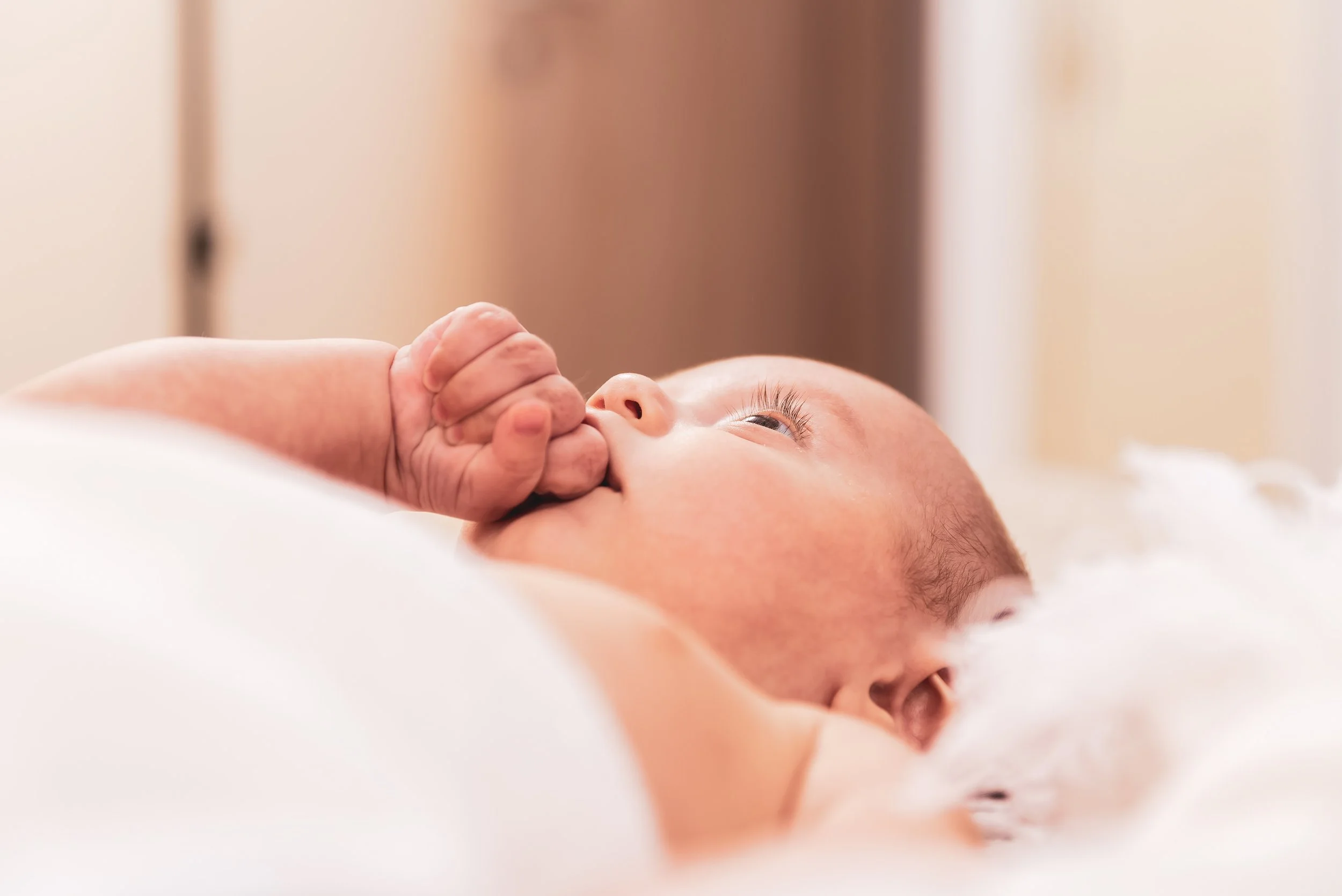 Portofoliu 2022 (8 of 87).jpg