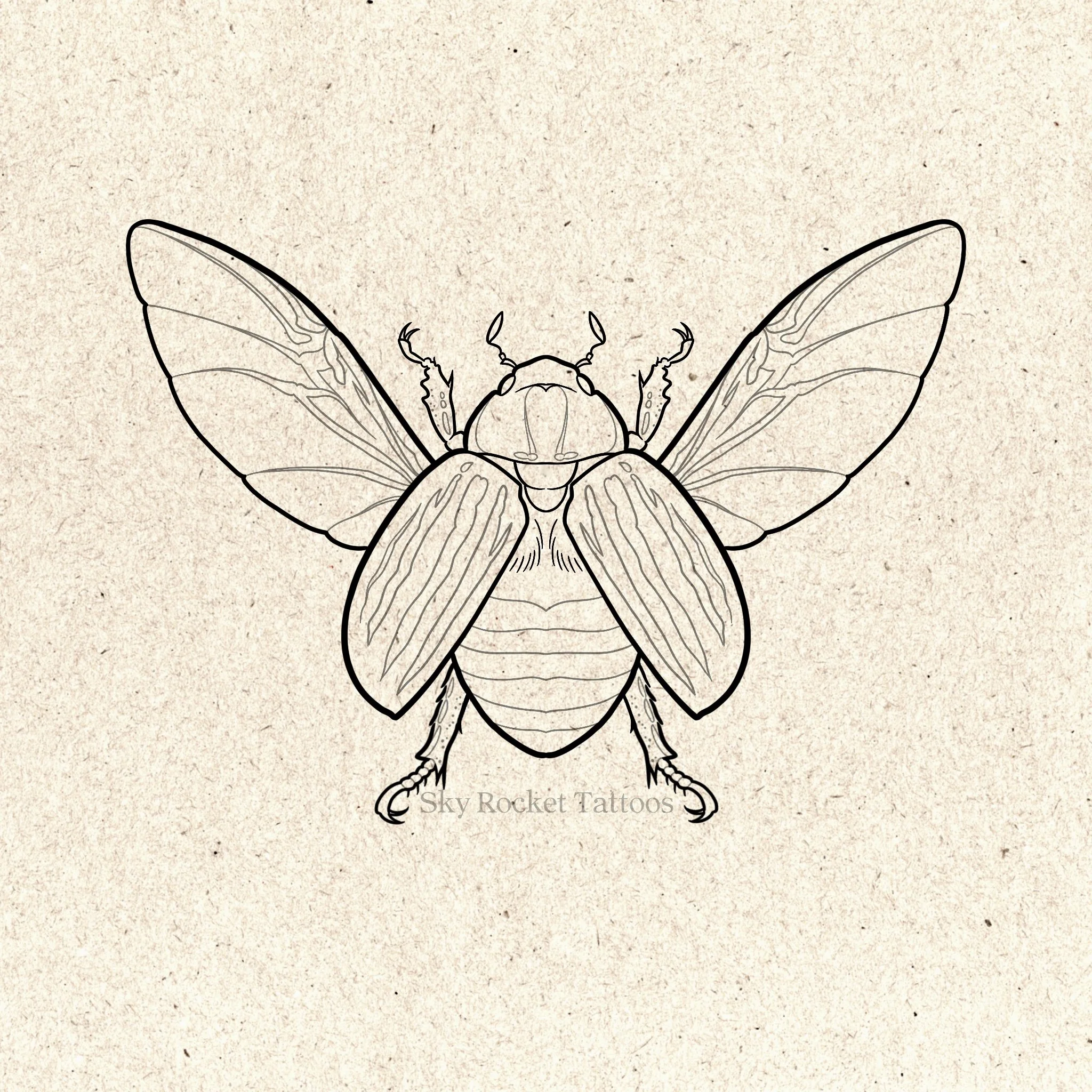 Jewel Beetle