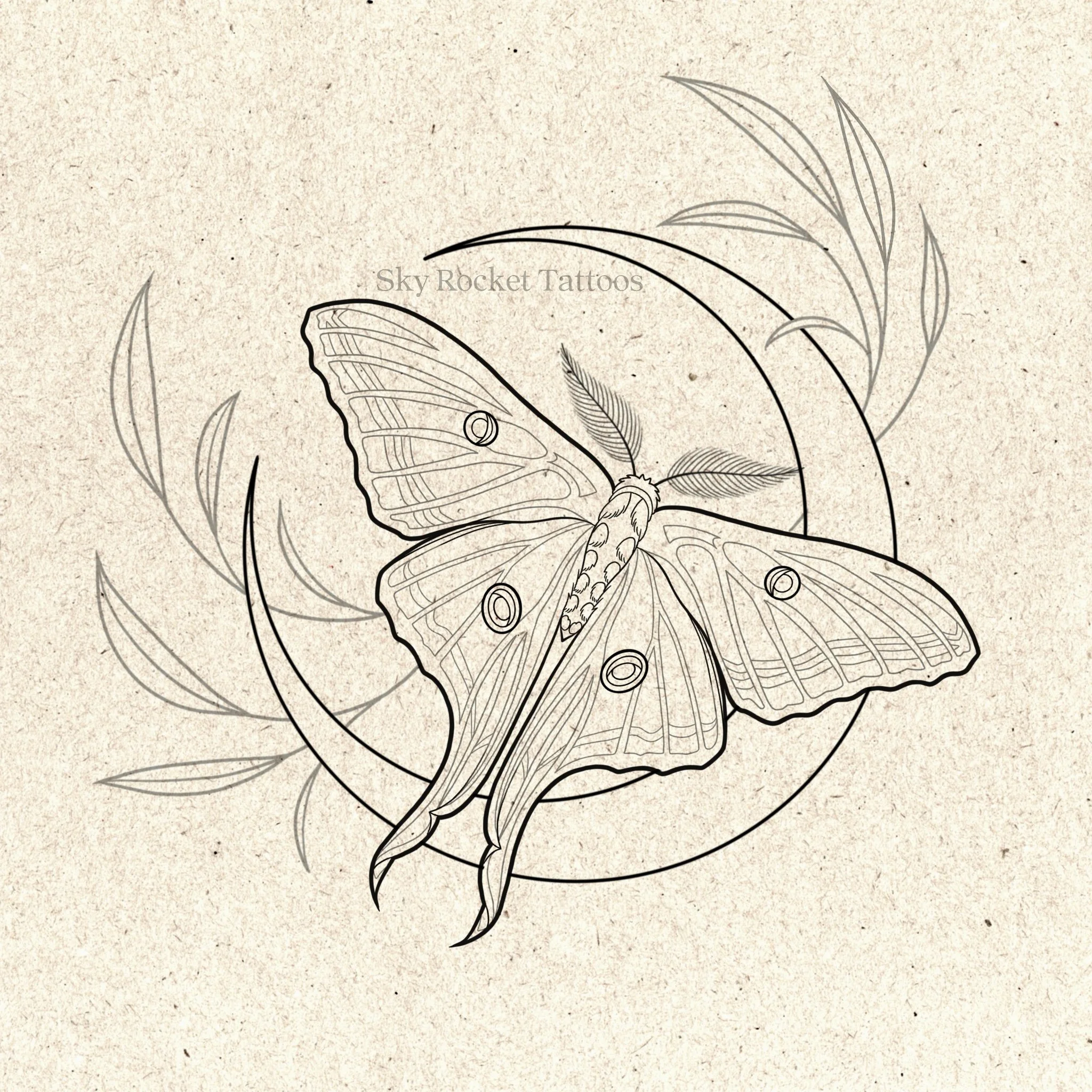 Crescent Moon Moth