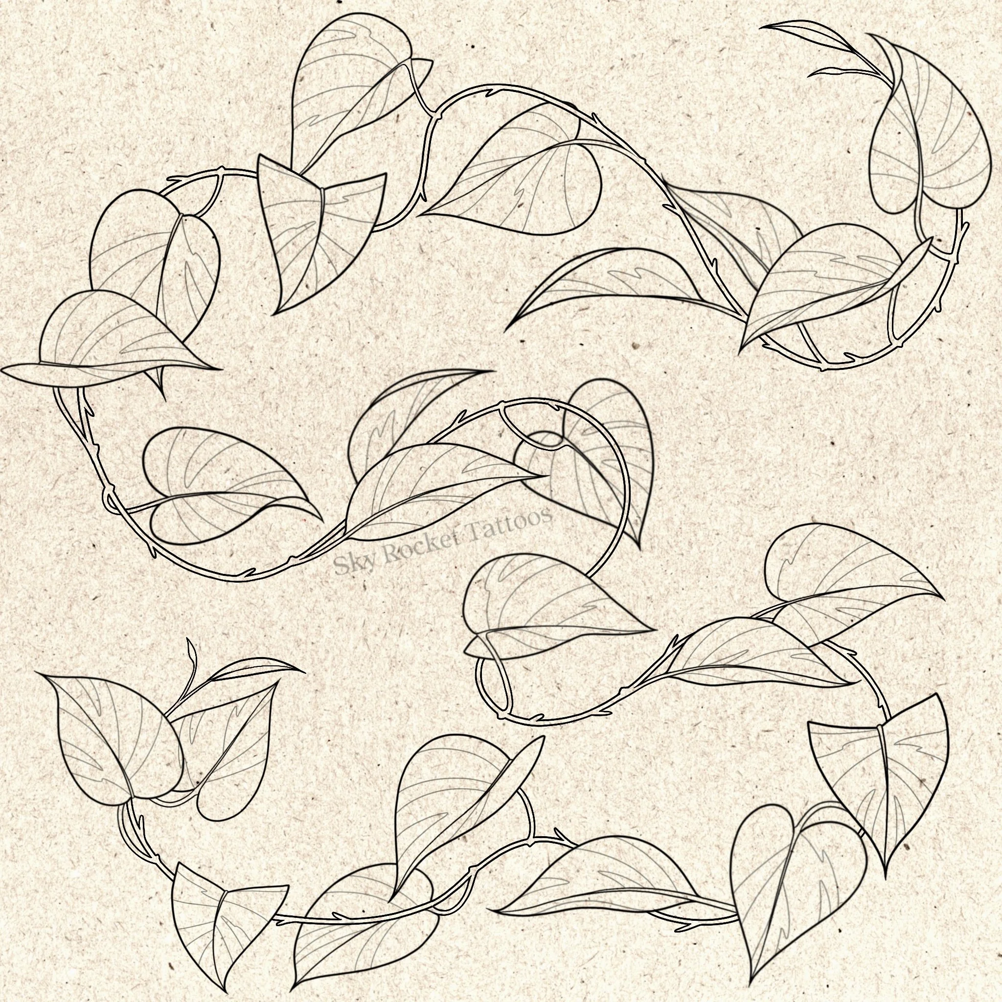 Pothos Freehand Vine