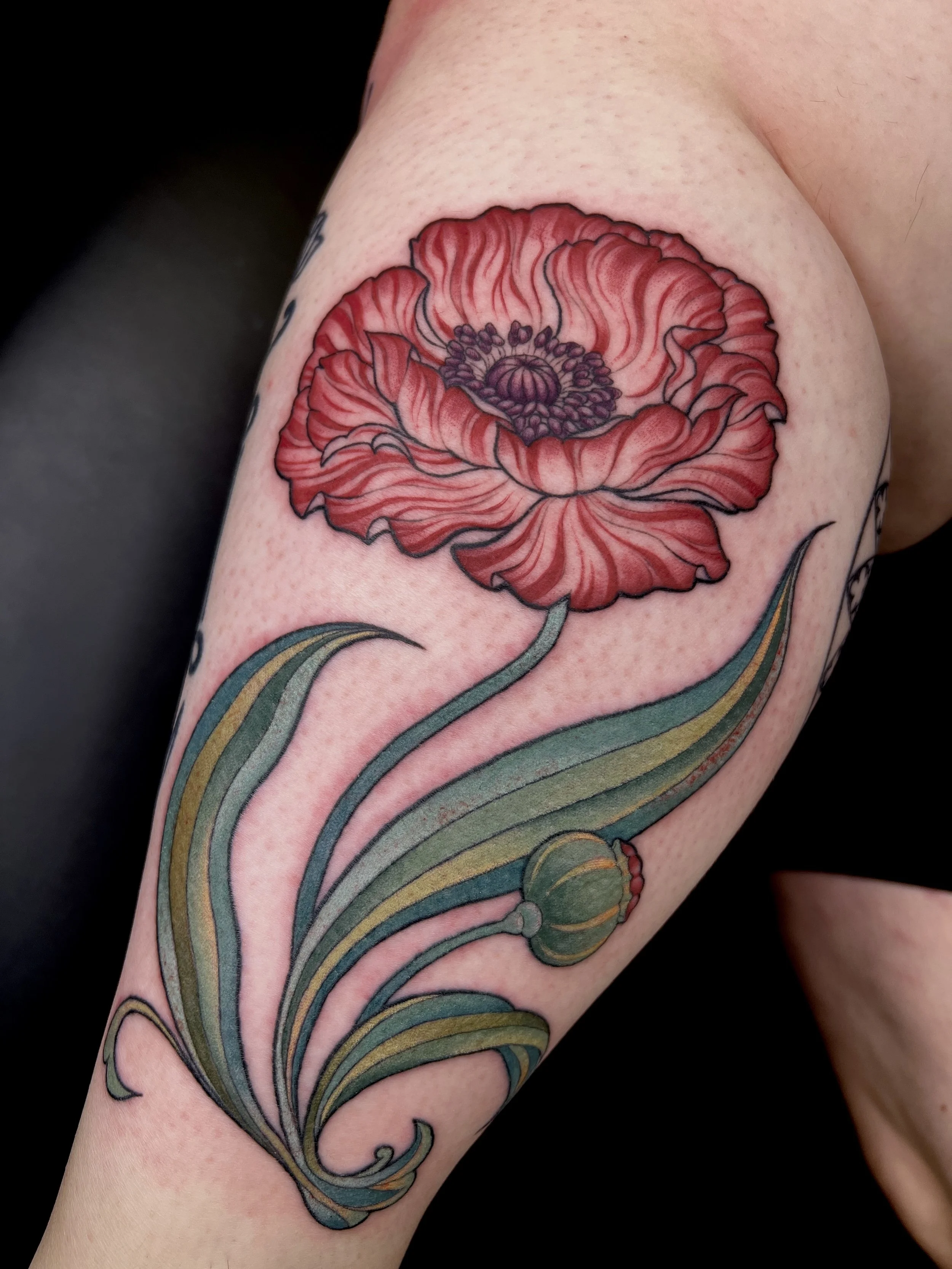 Oriental Poppy Flash