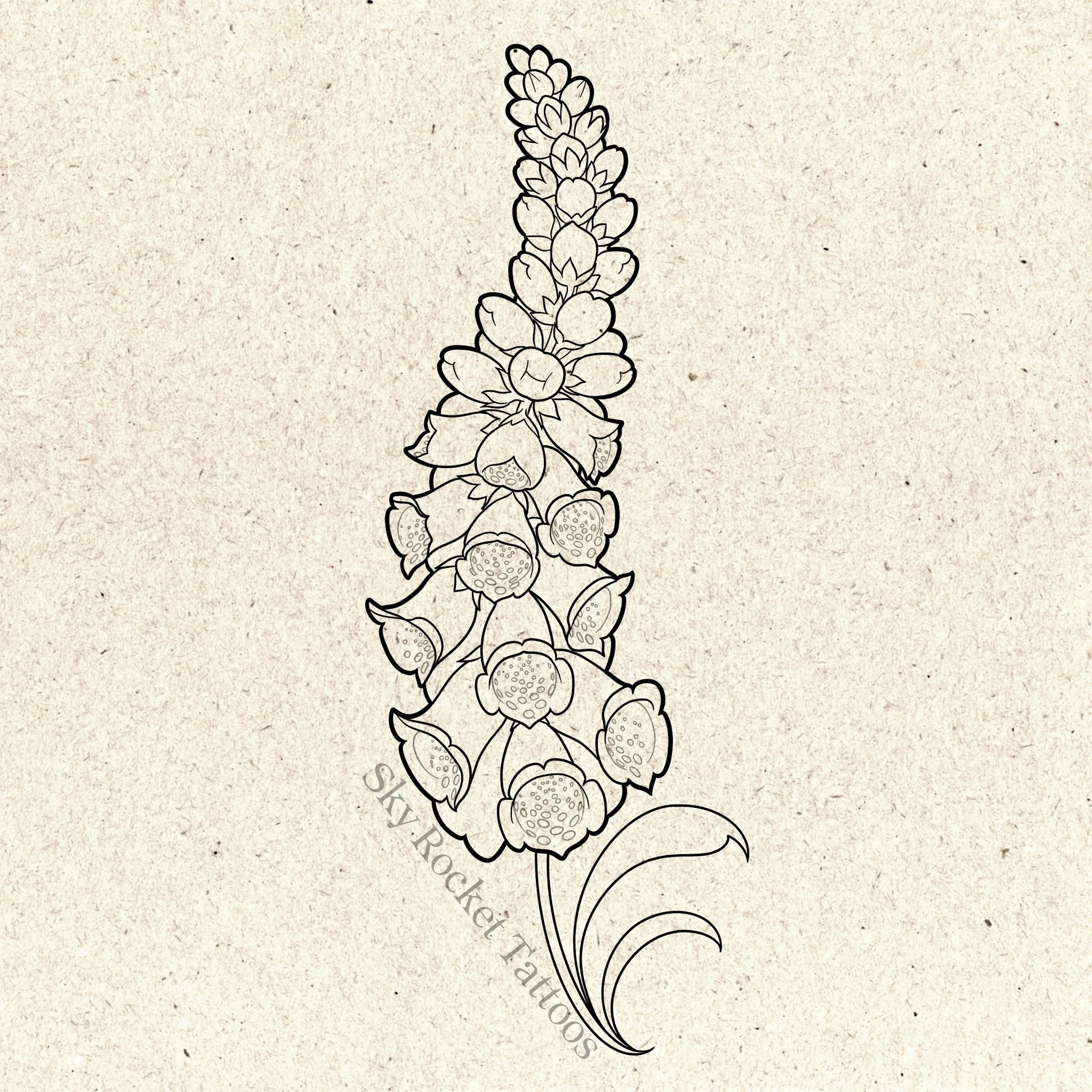 Foxglove