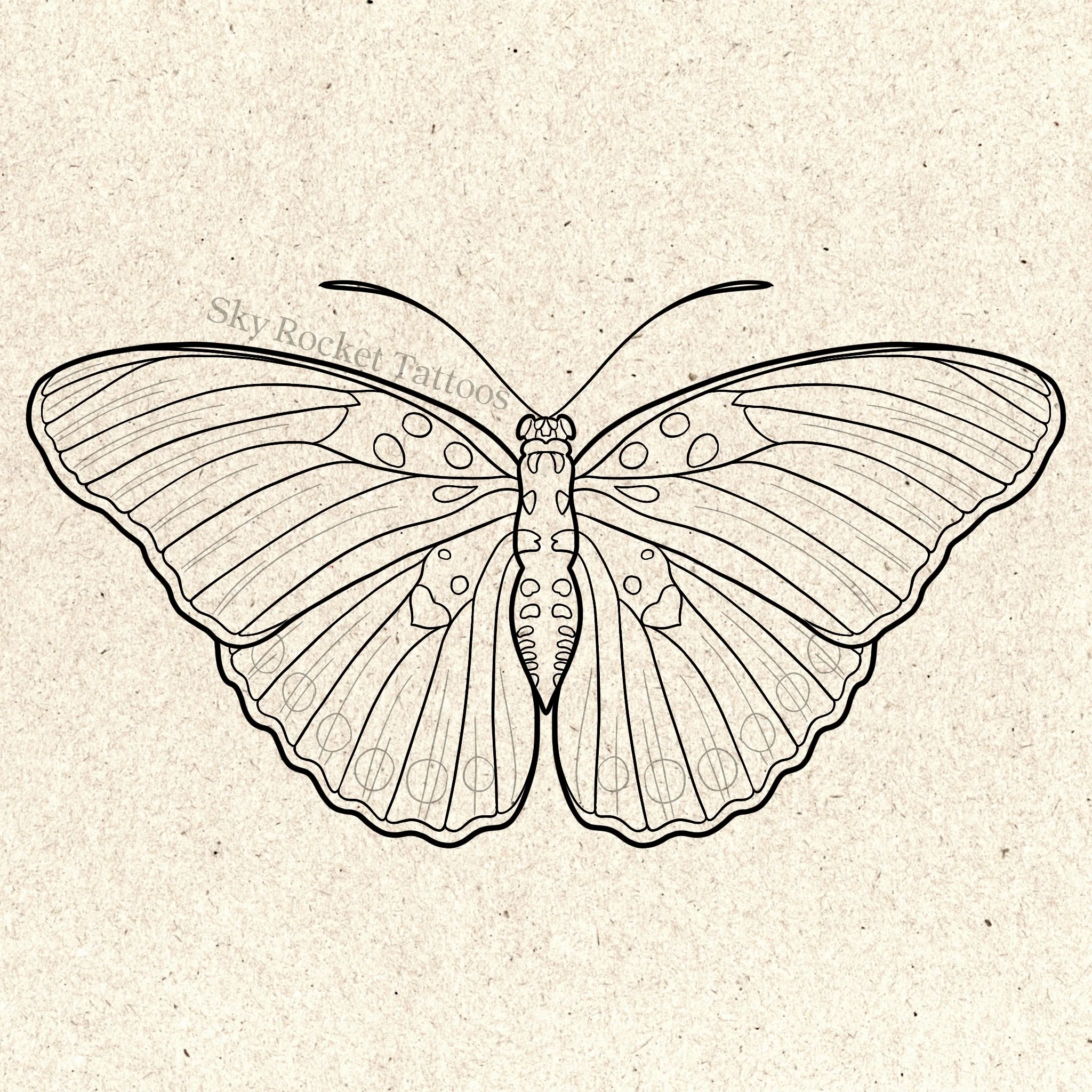 Edward’s Forester Butterfly