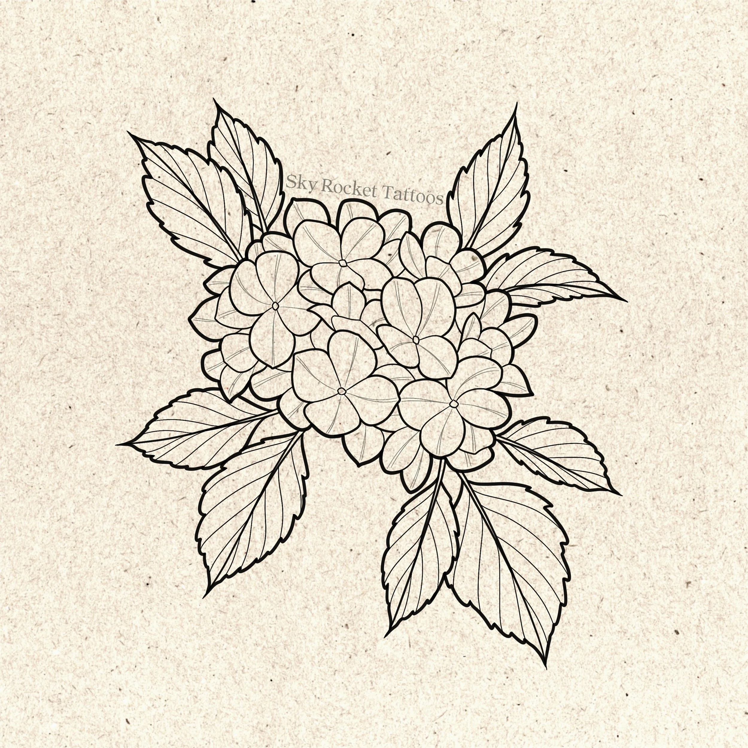 Hydrangea