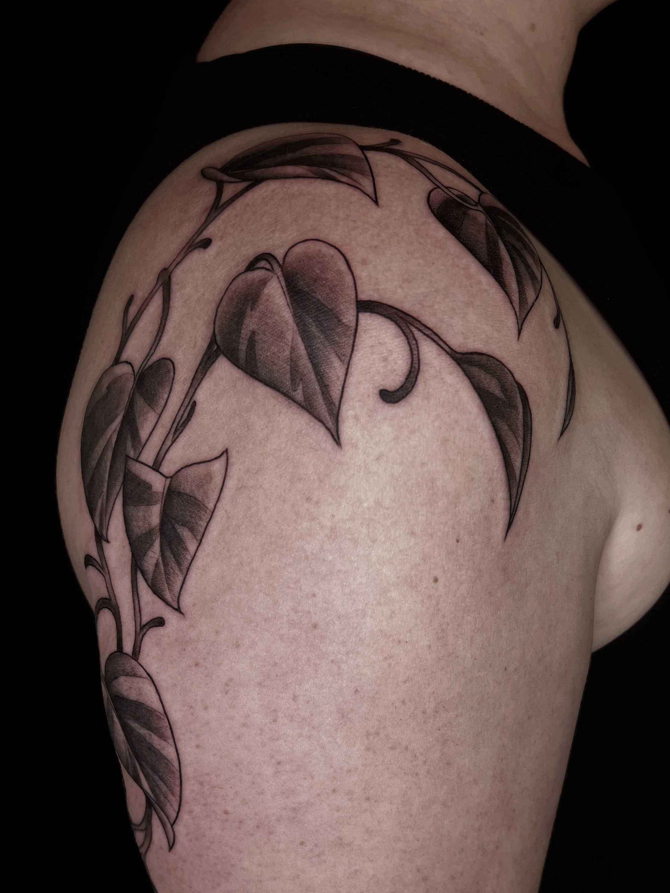 Freehand pothos vine flash