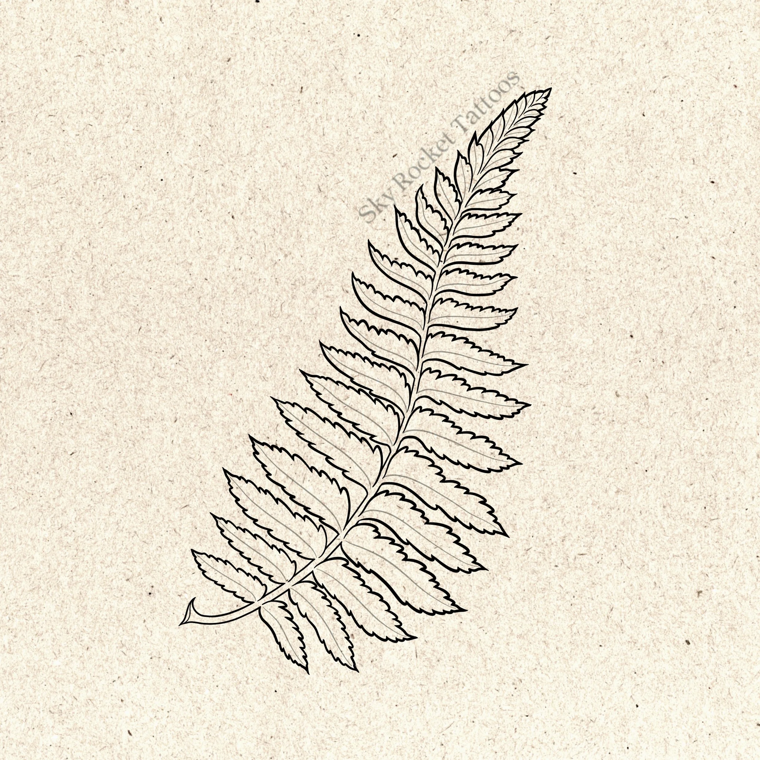 Sword Fern