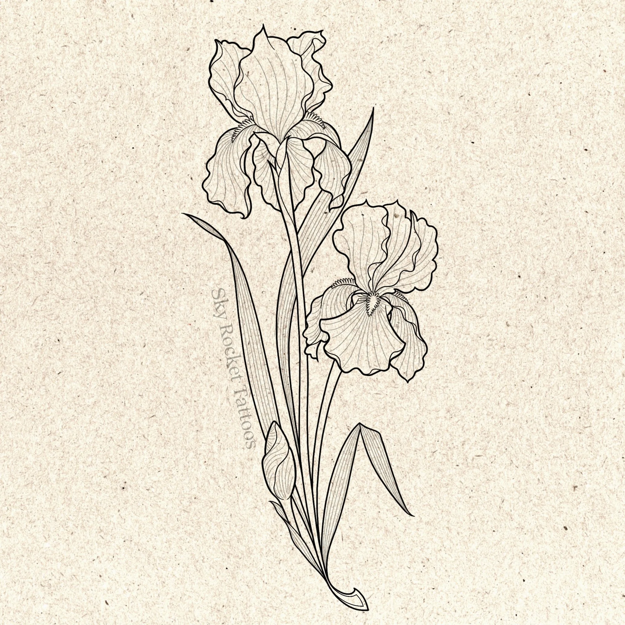 Iris 1