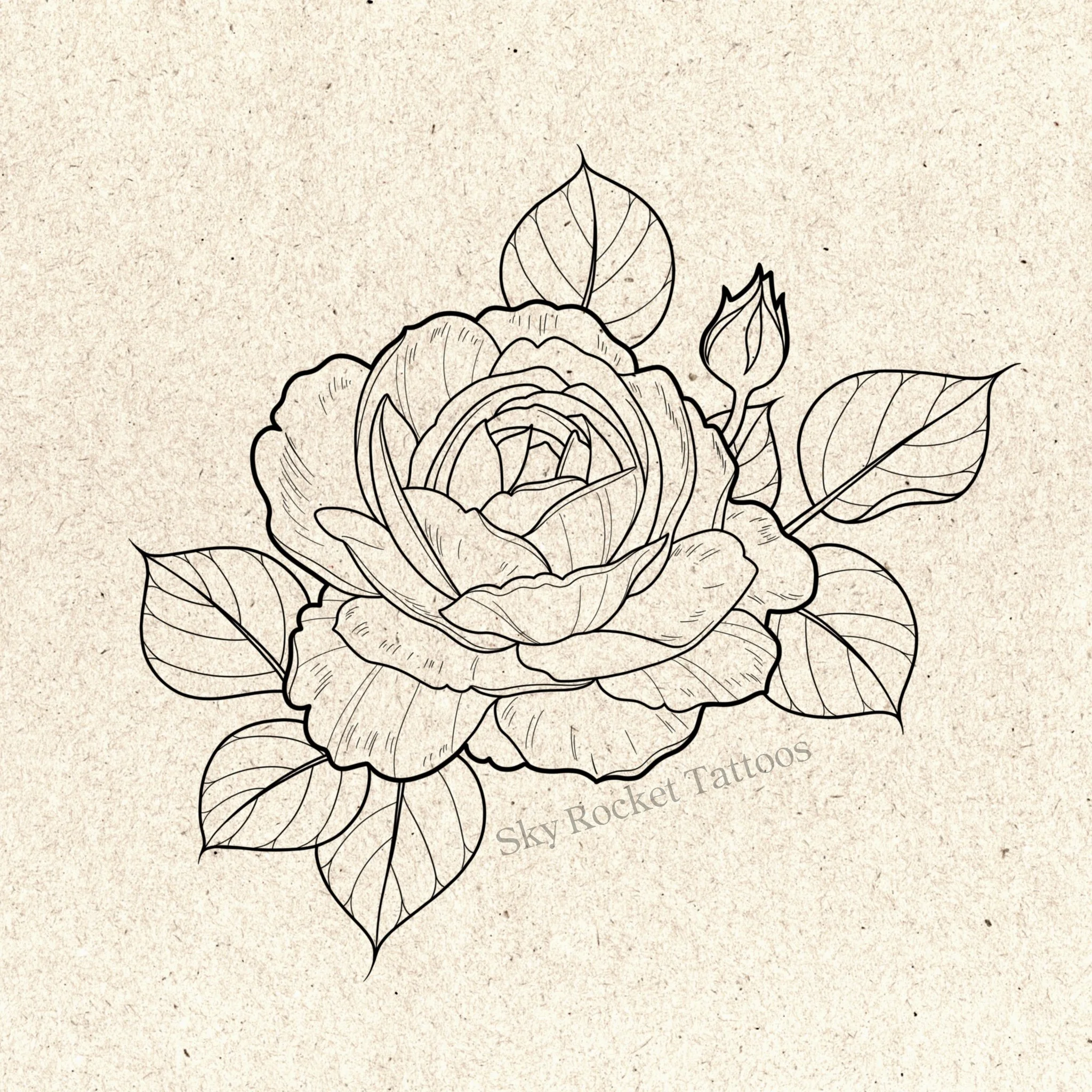 Rose 1