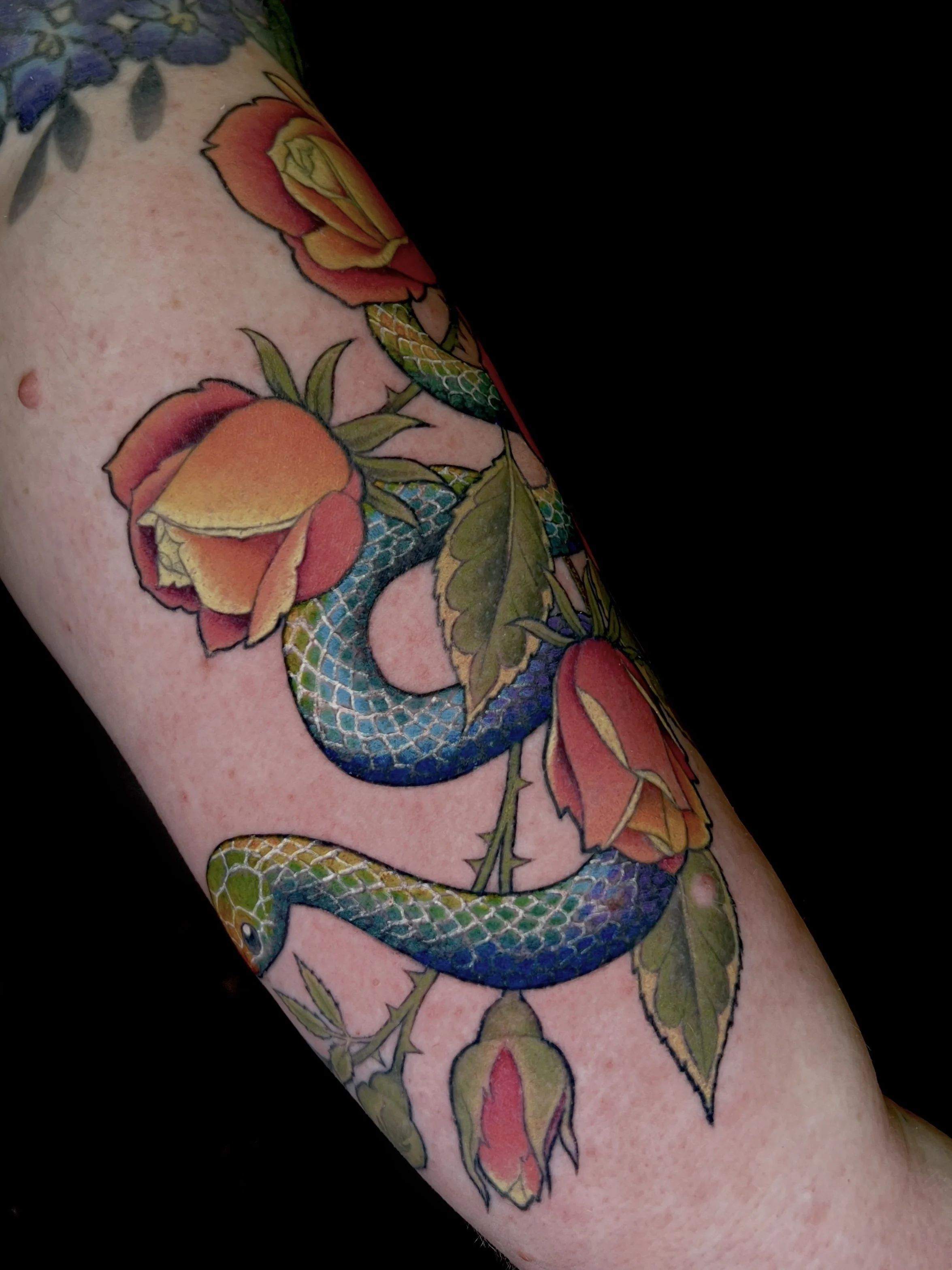 Snake and roses flash