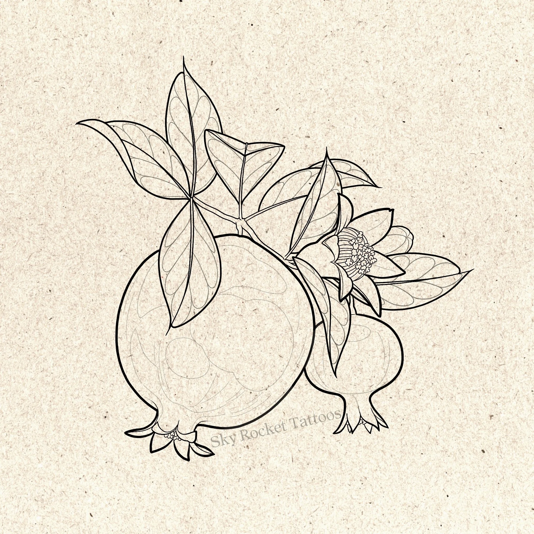 Pomegranate 1