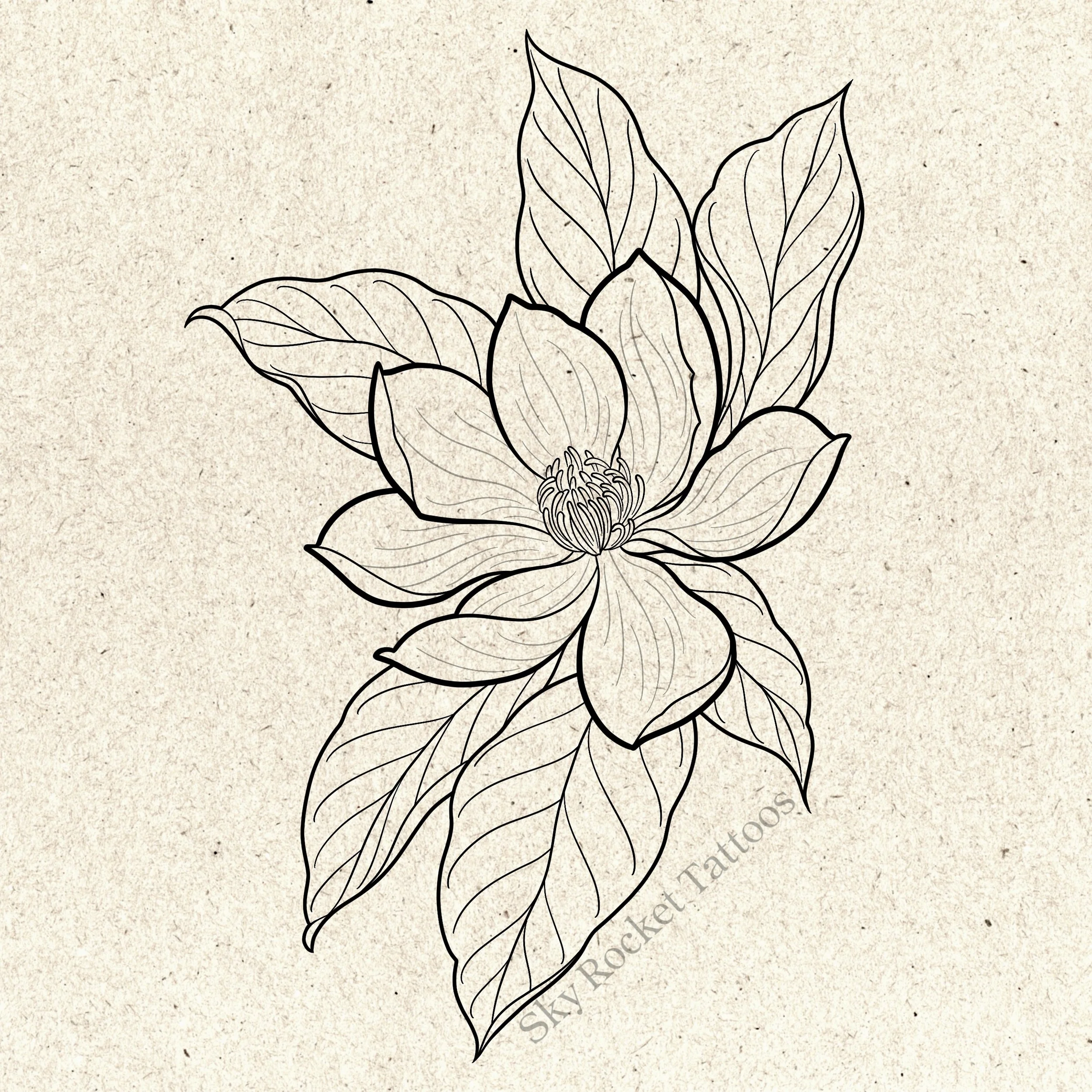 Magnolia 3