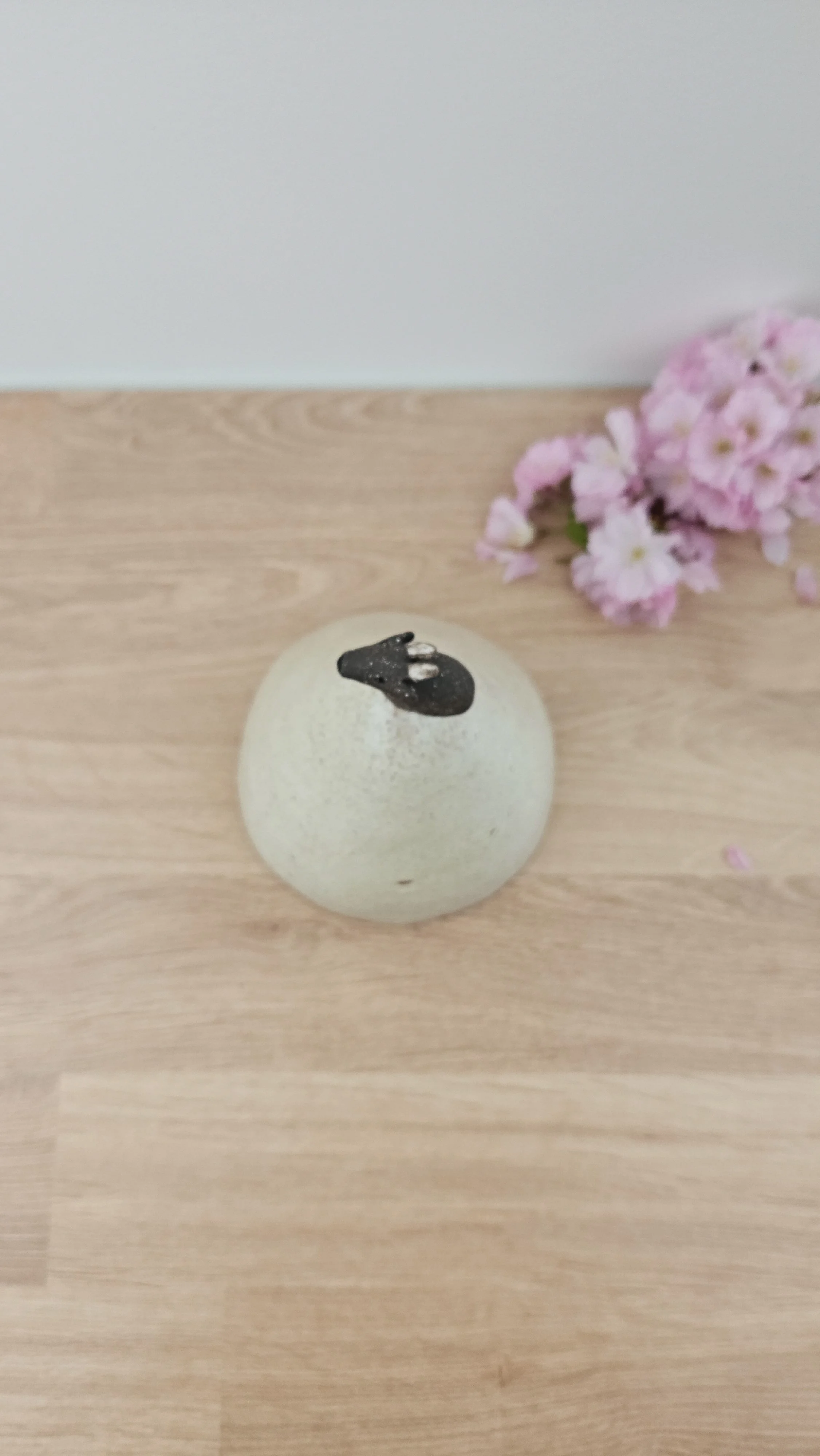 montagne biquette 120260319_142033.jpg