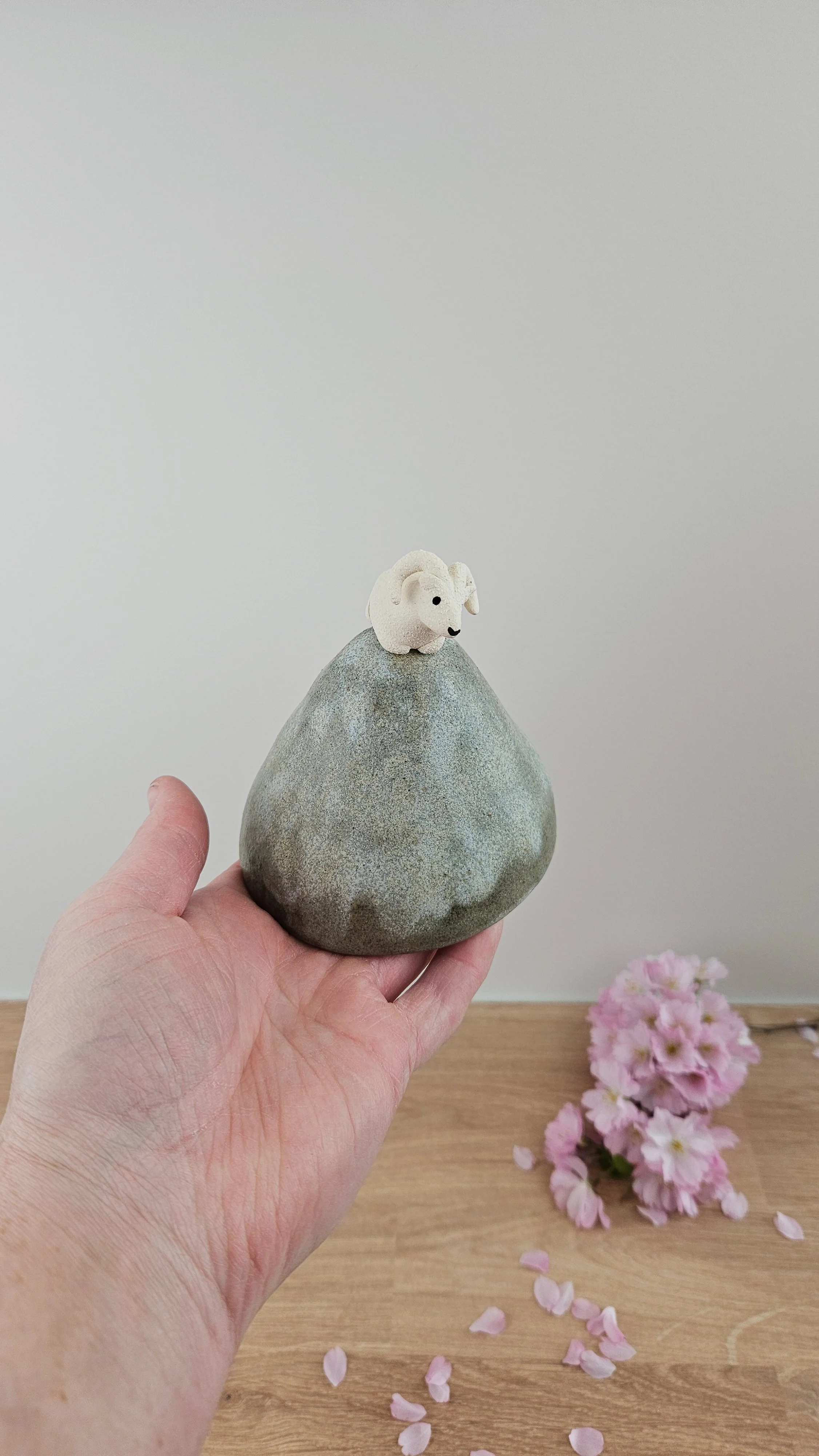 montagne Bouc 420260319_124054.jpg