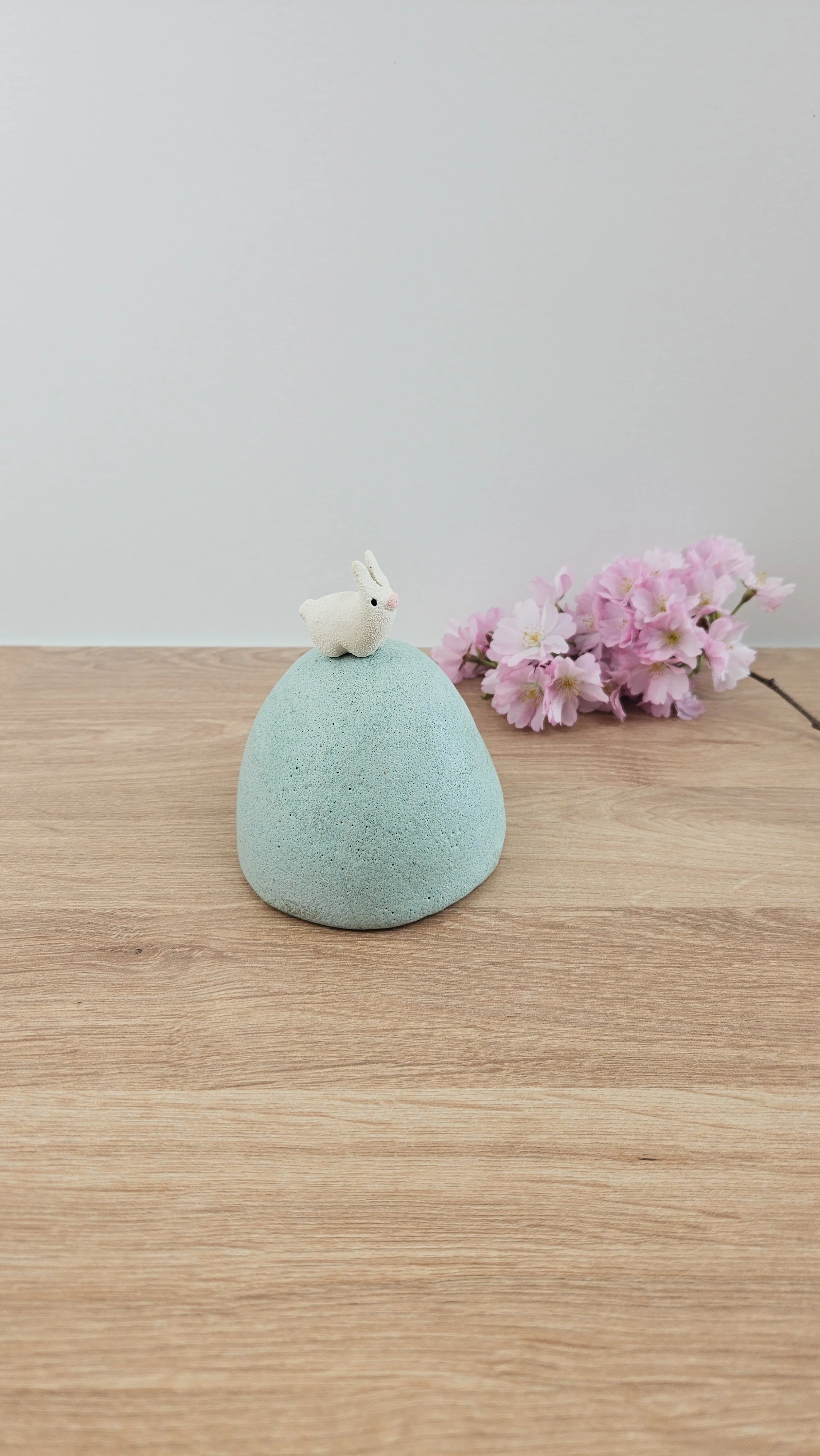 colline lapin 120260319_120906.jpg