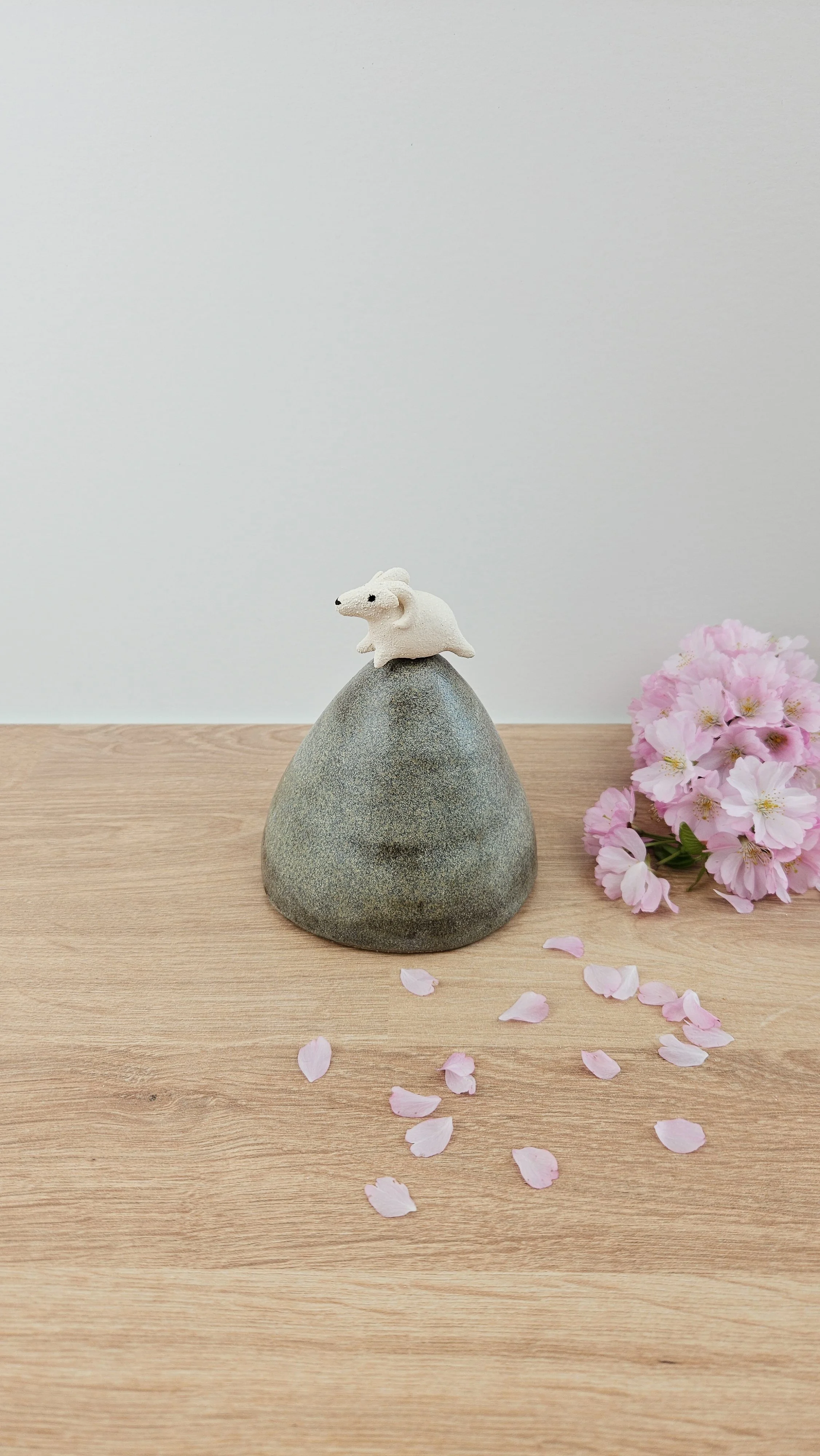 montagne Bouc 120260319_123728.jpg