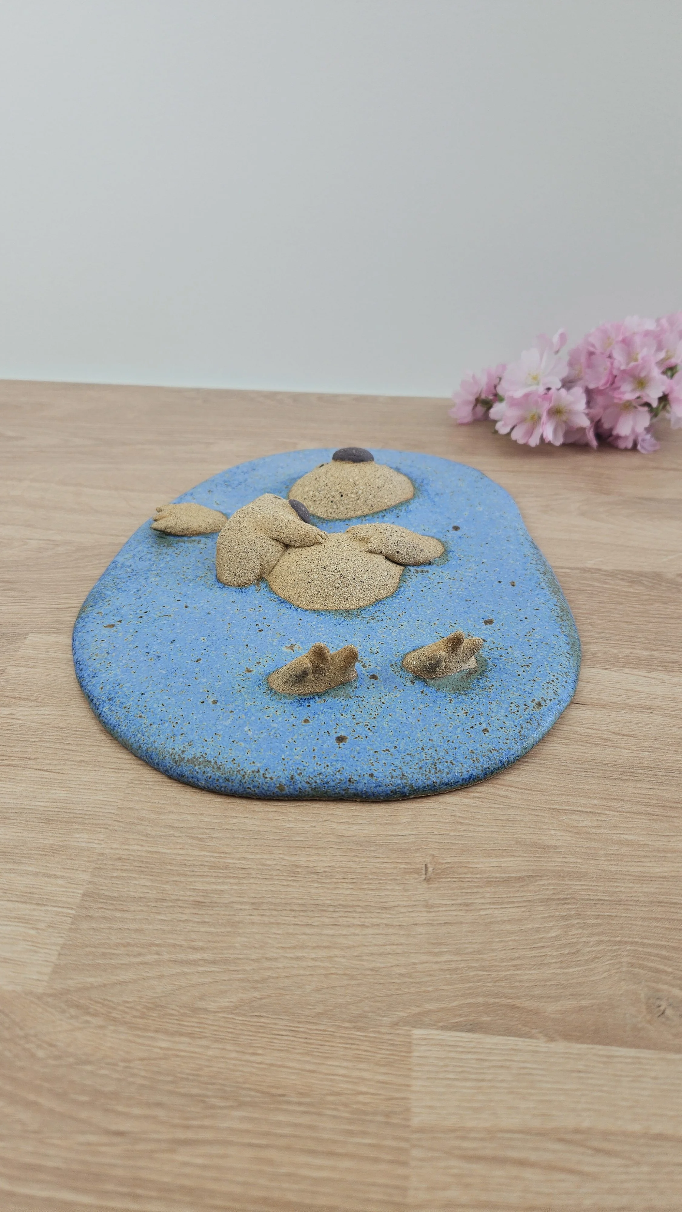 Plongeon loutre ours et bébé 20260319_115016.jpg