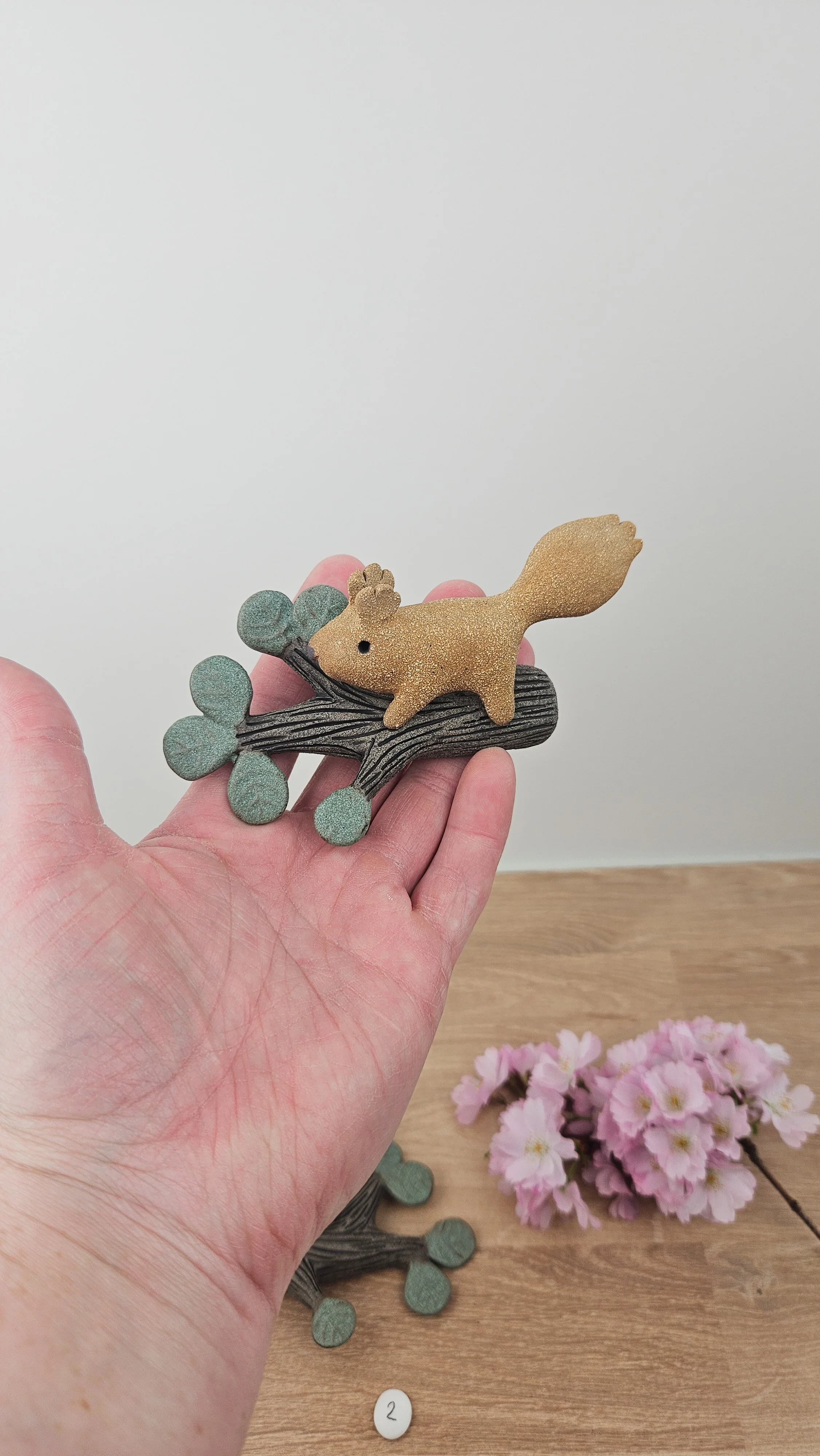 Branche Ecureuil 20260318_143831.jpg