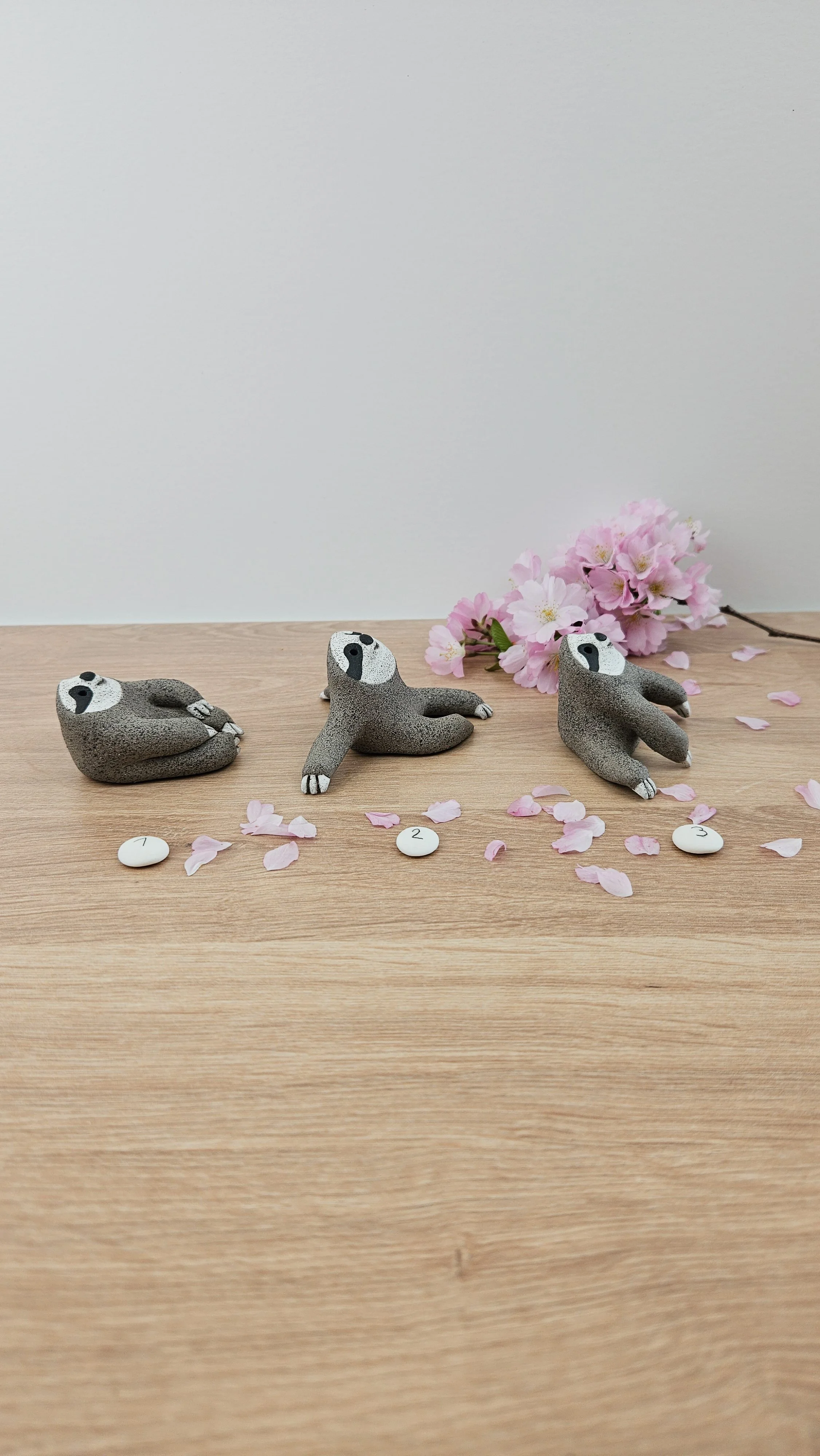 Mini paresseux20260319_141005.jpg