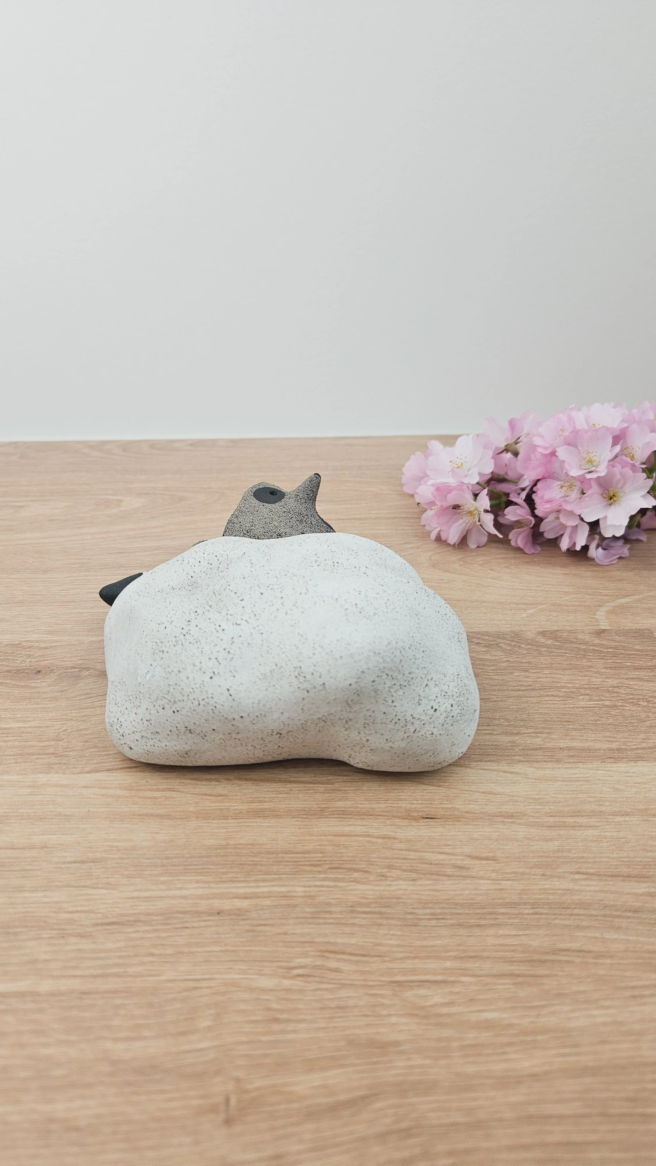 Raton Nuage 4 20260318_143553.jpg