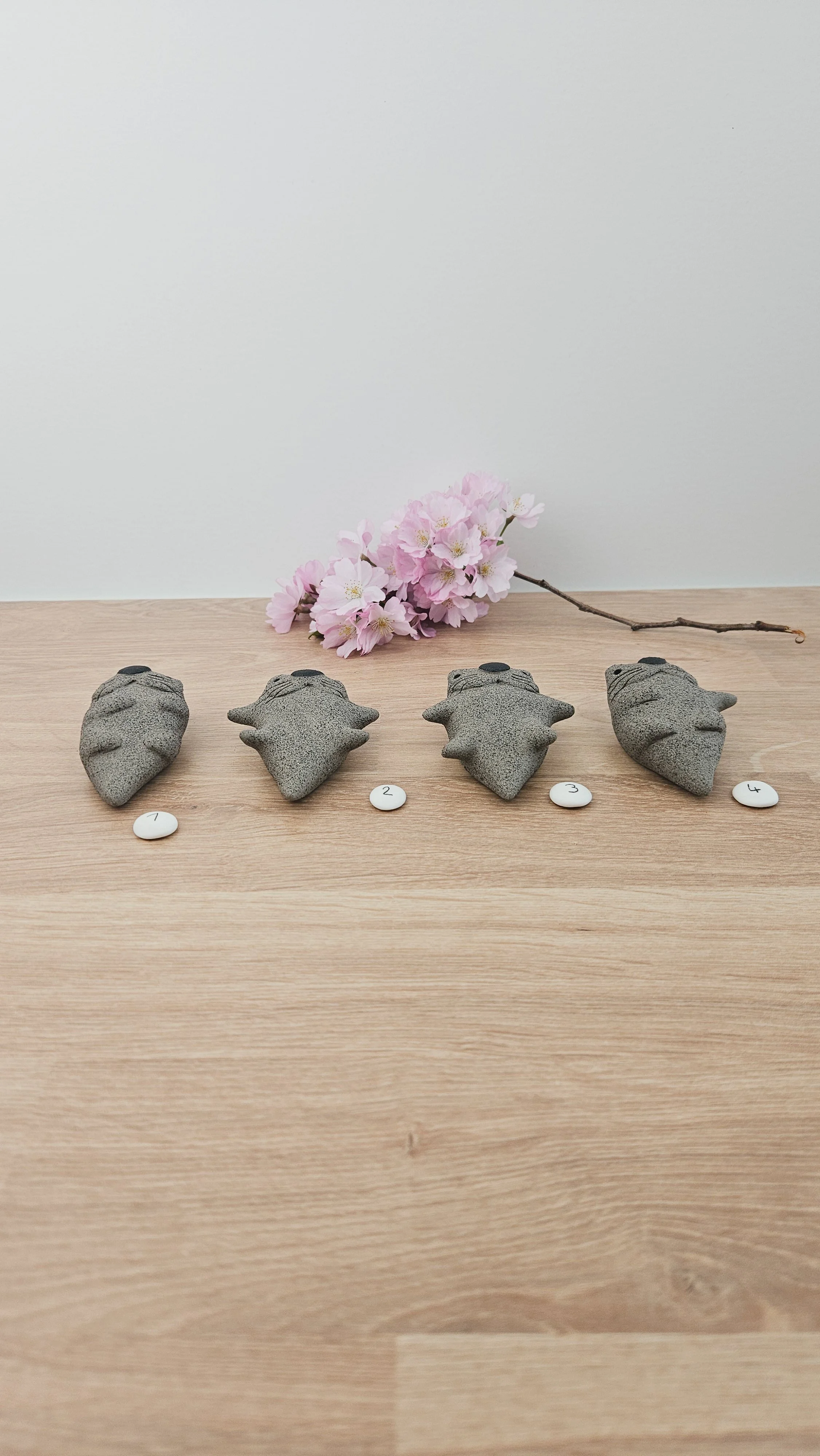 Mini Loutre 20260318_135317.jpg