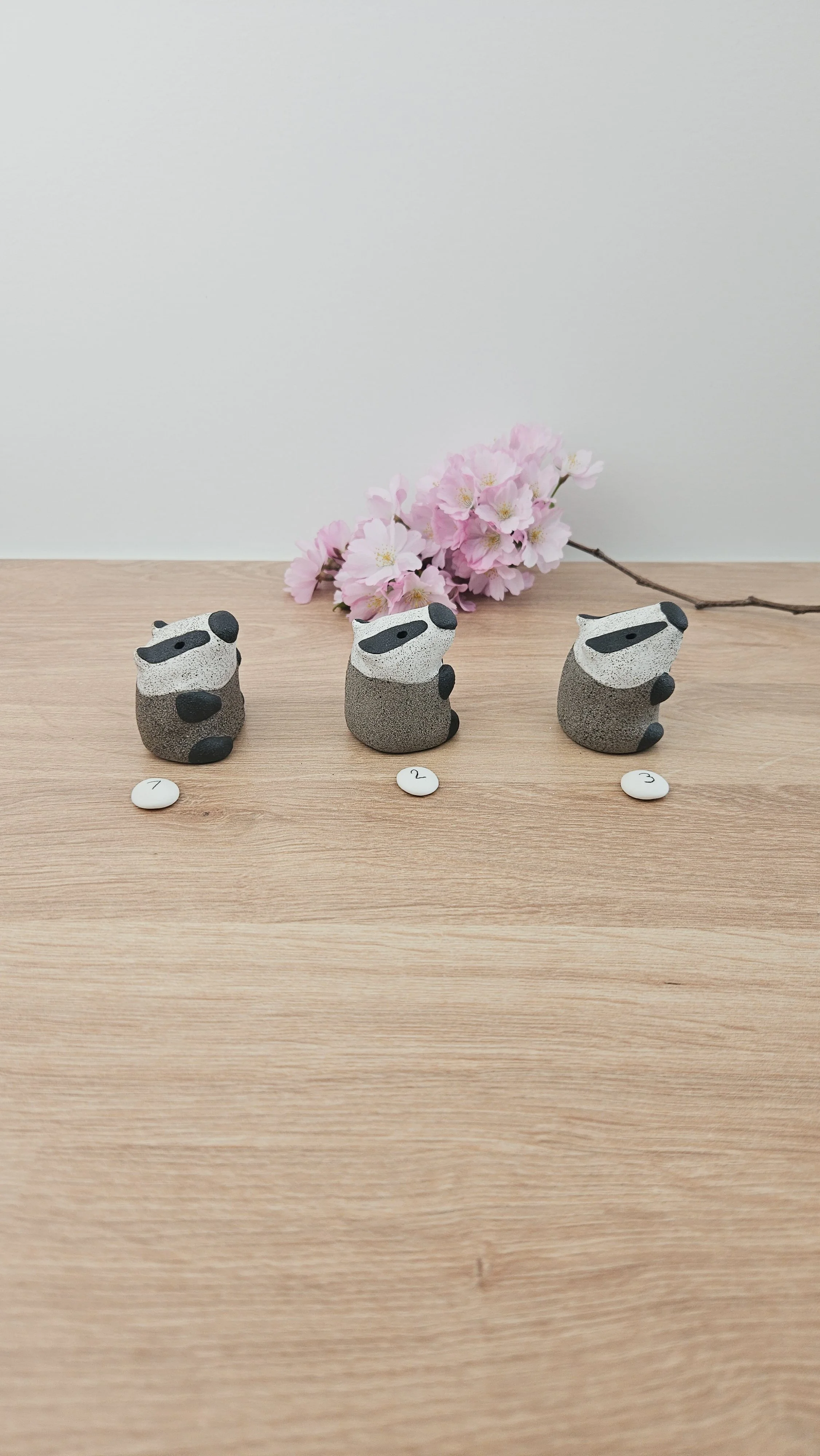 Mini Blaireau 20260318_134653.jpg