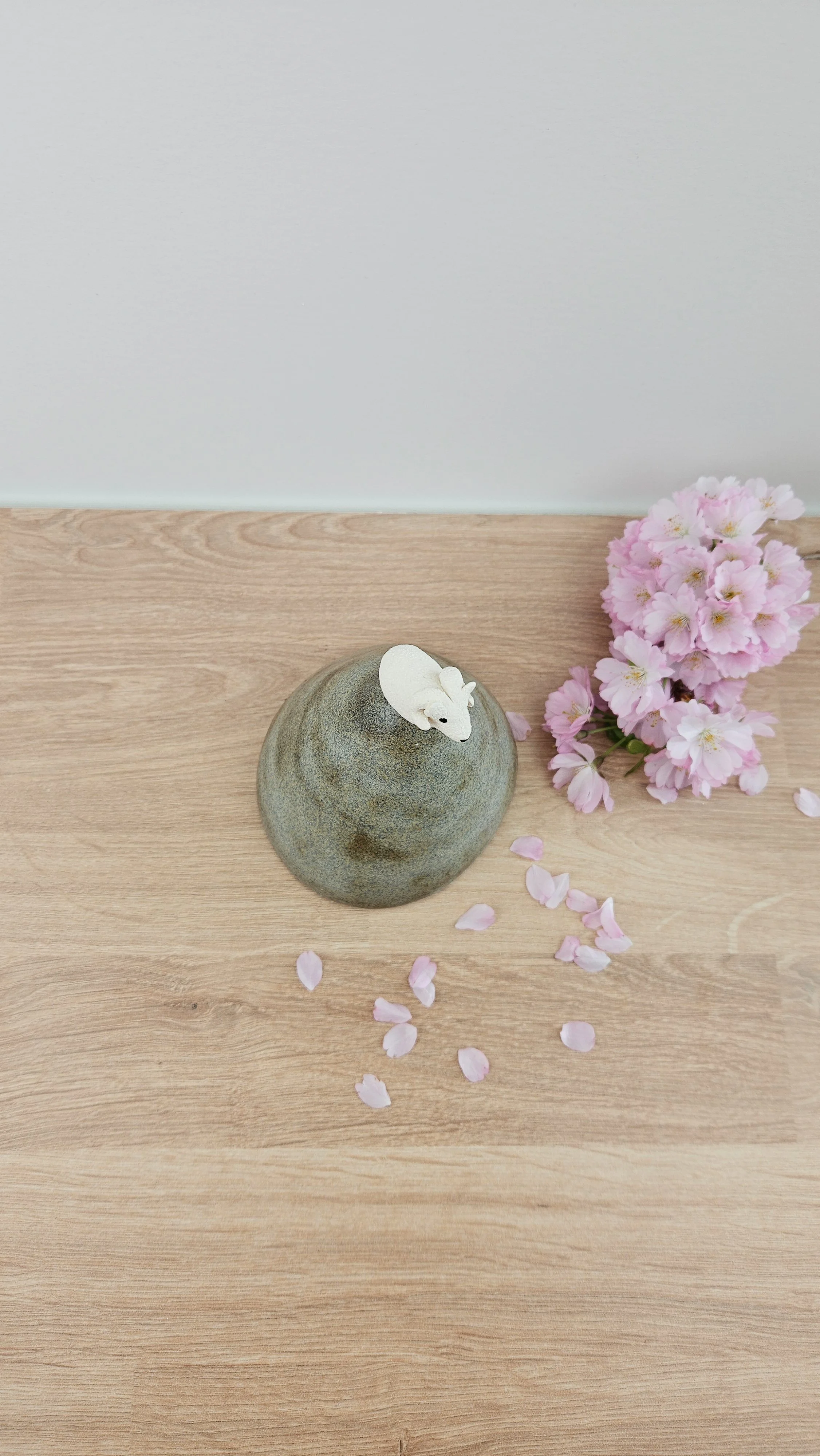 montagne Bouc 320260319_123936.jpg