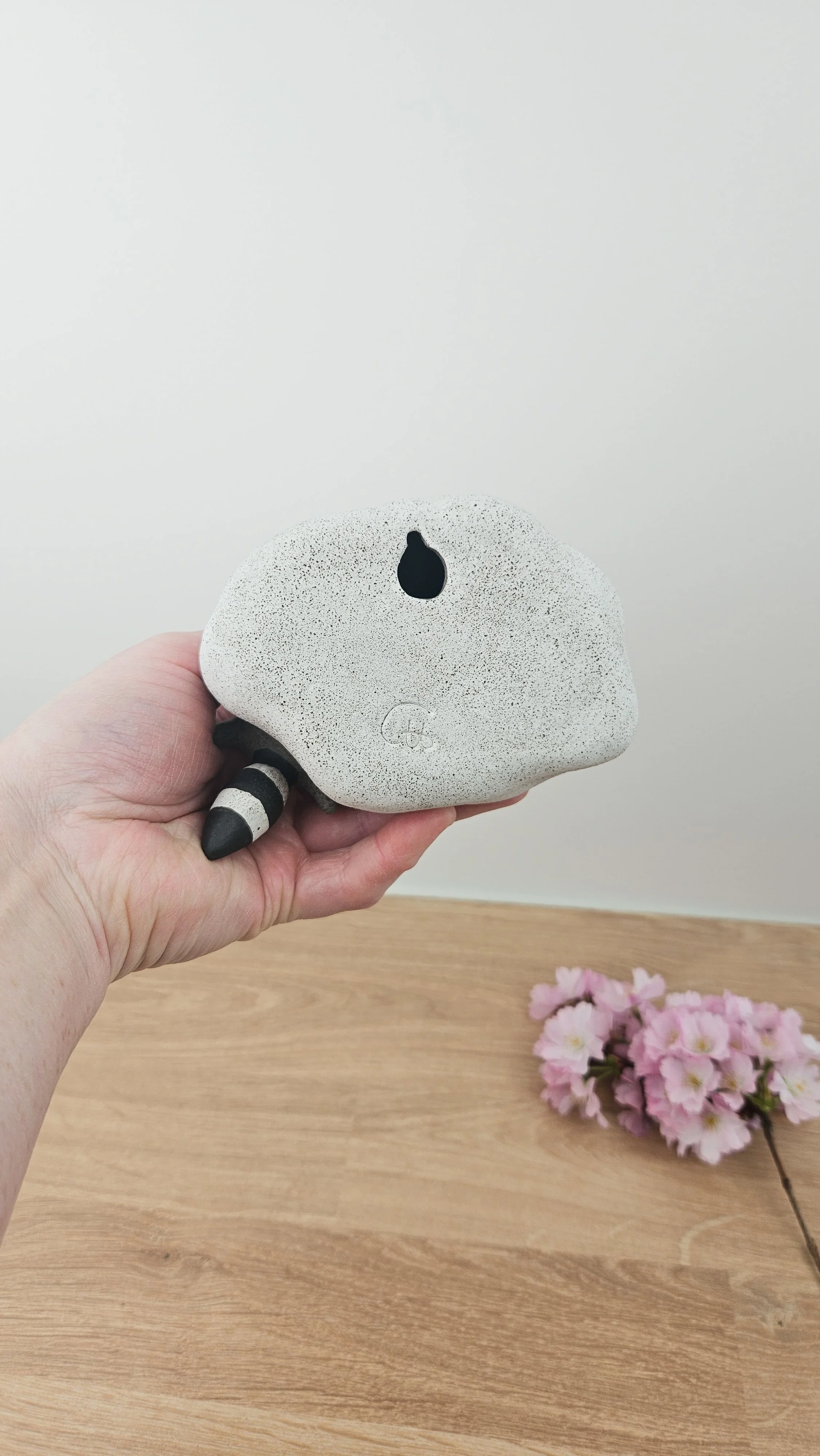 Raton Nuage 3 20260318_143525.jpg