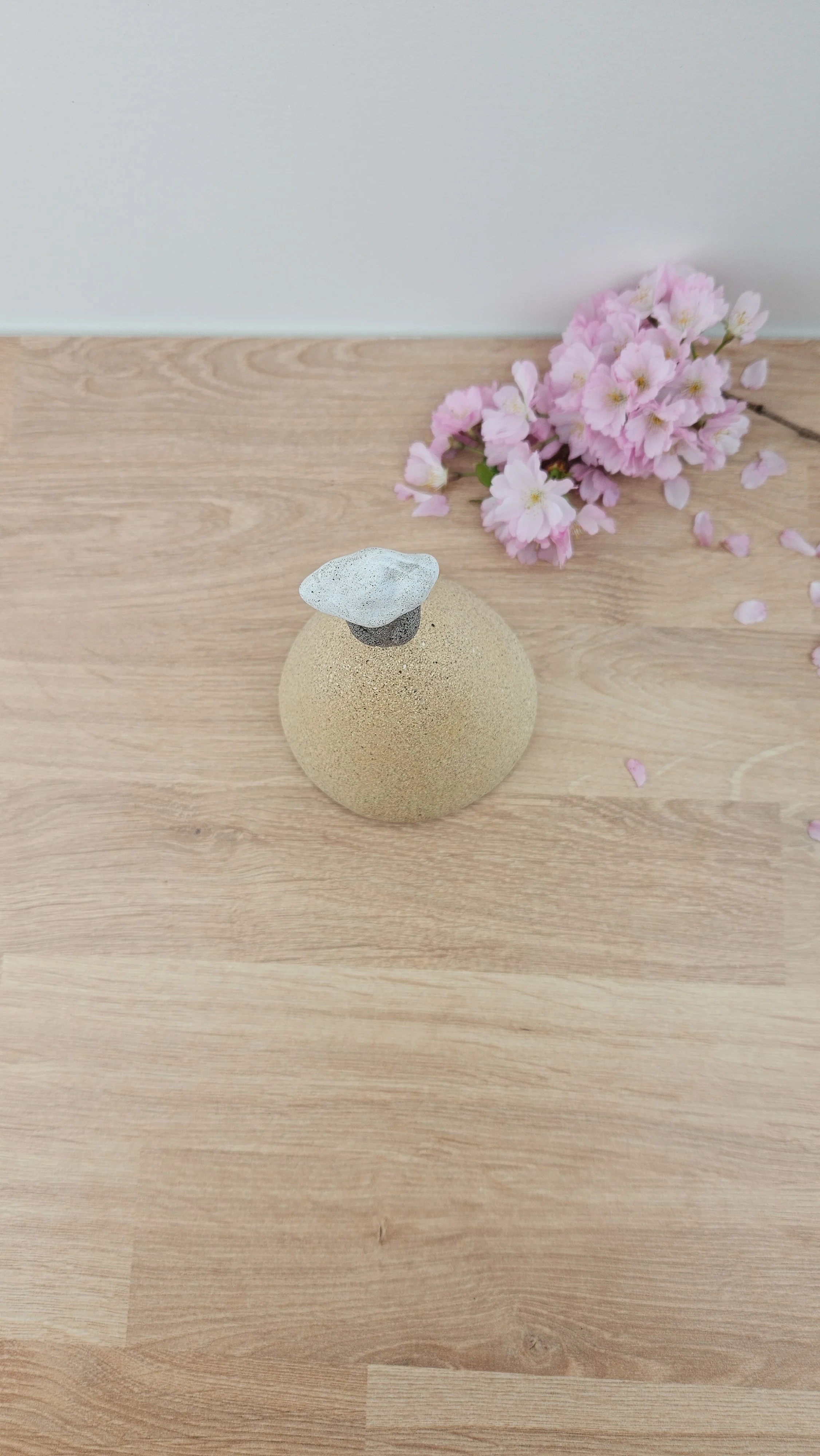 montagne nuage 6 montagne nuage 320260319_142633.jpg