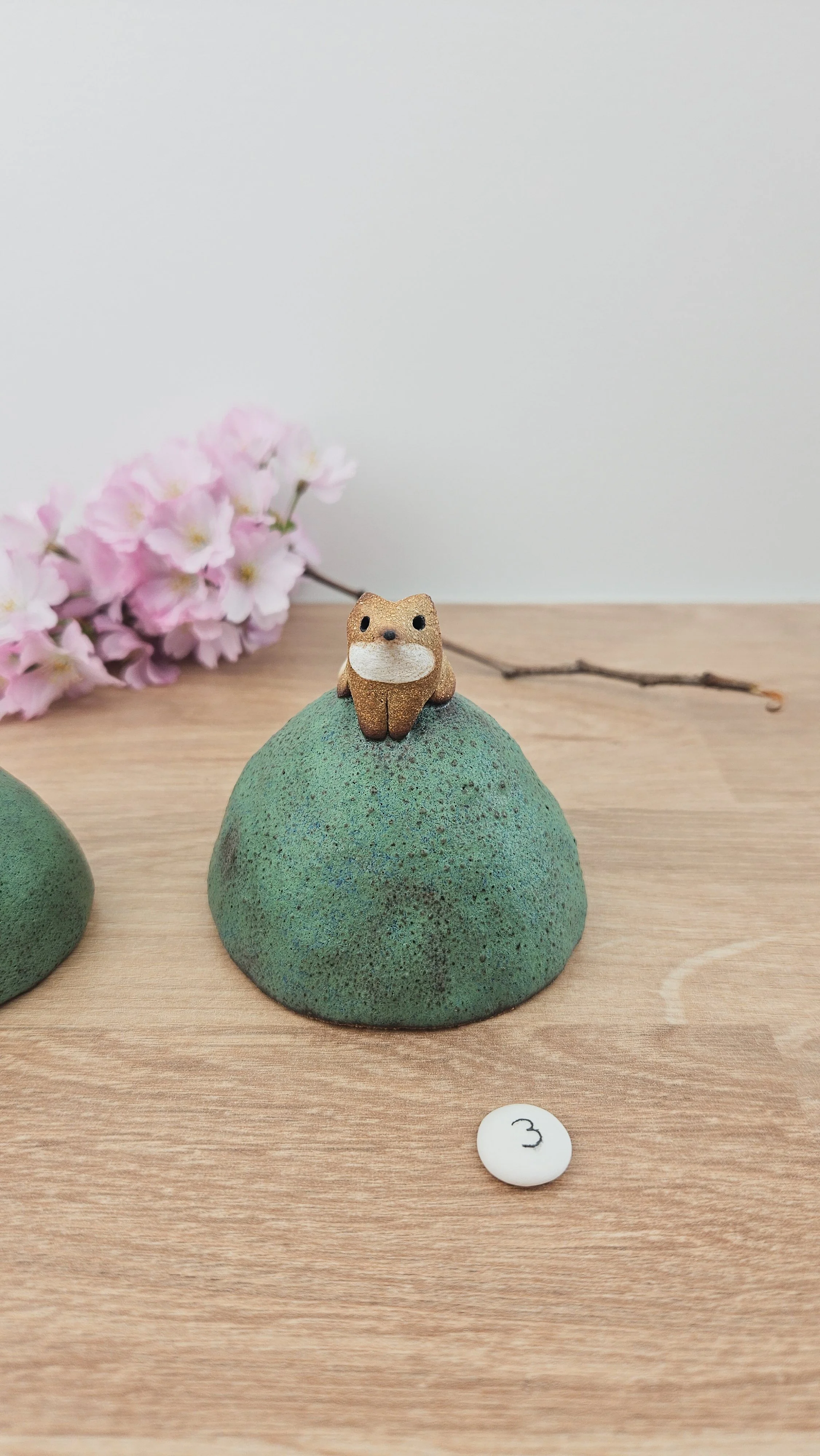 Mini colline renard20260318_142156.jpg