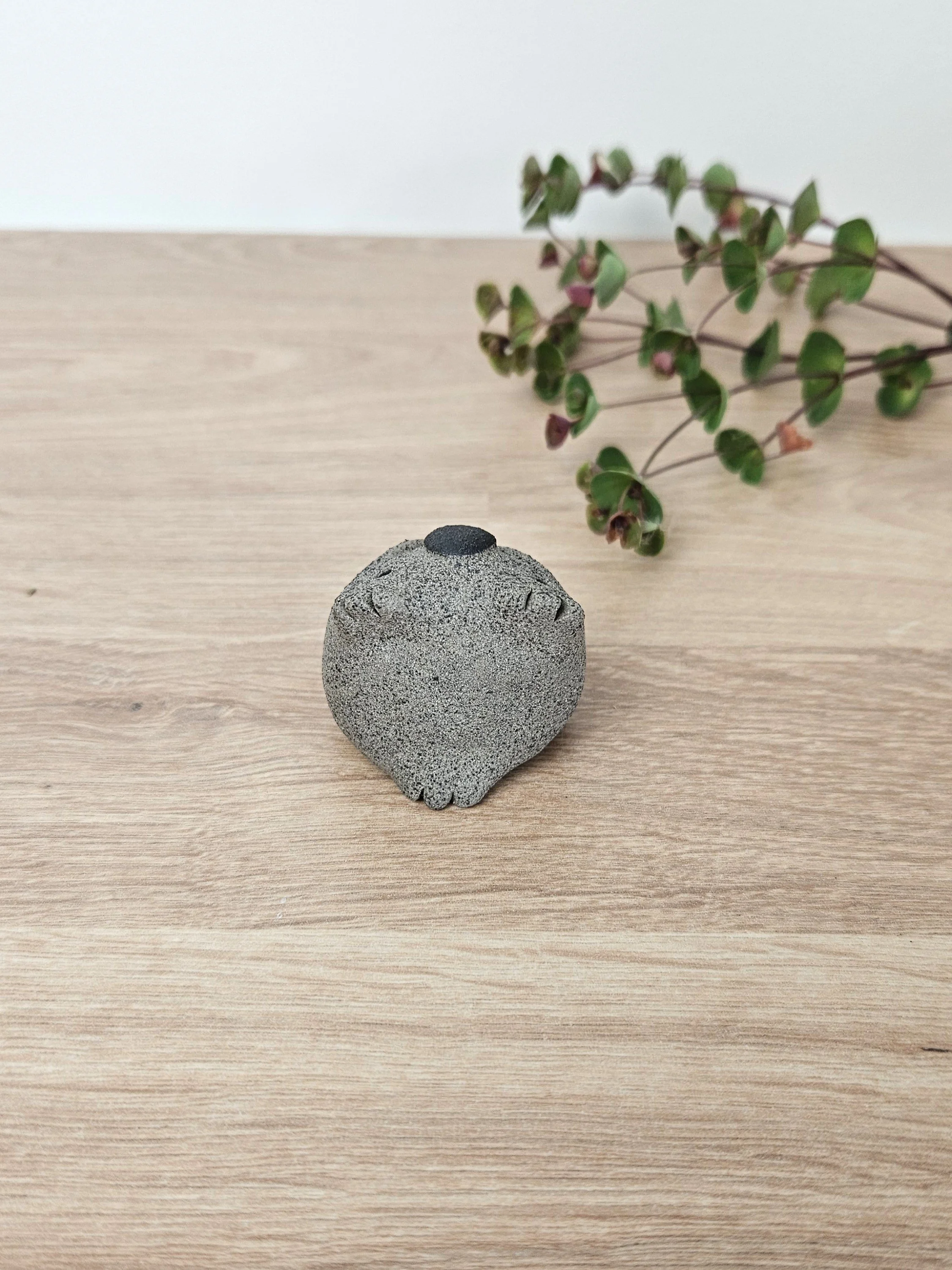 mini koala (2).jpg