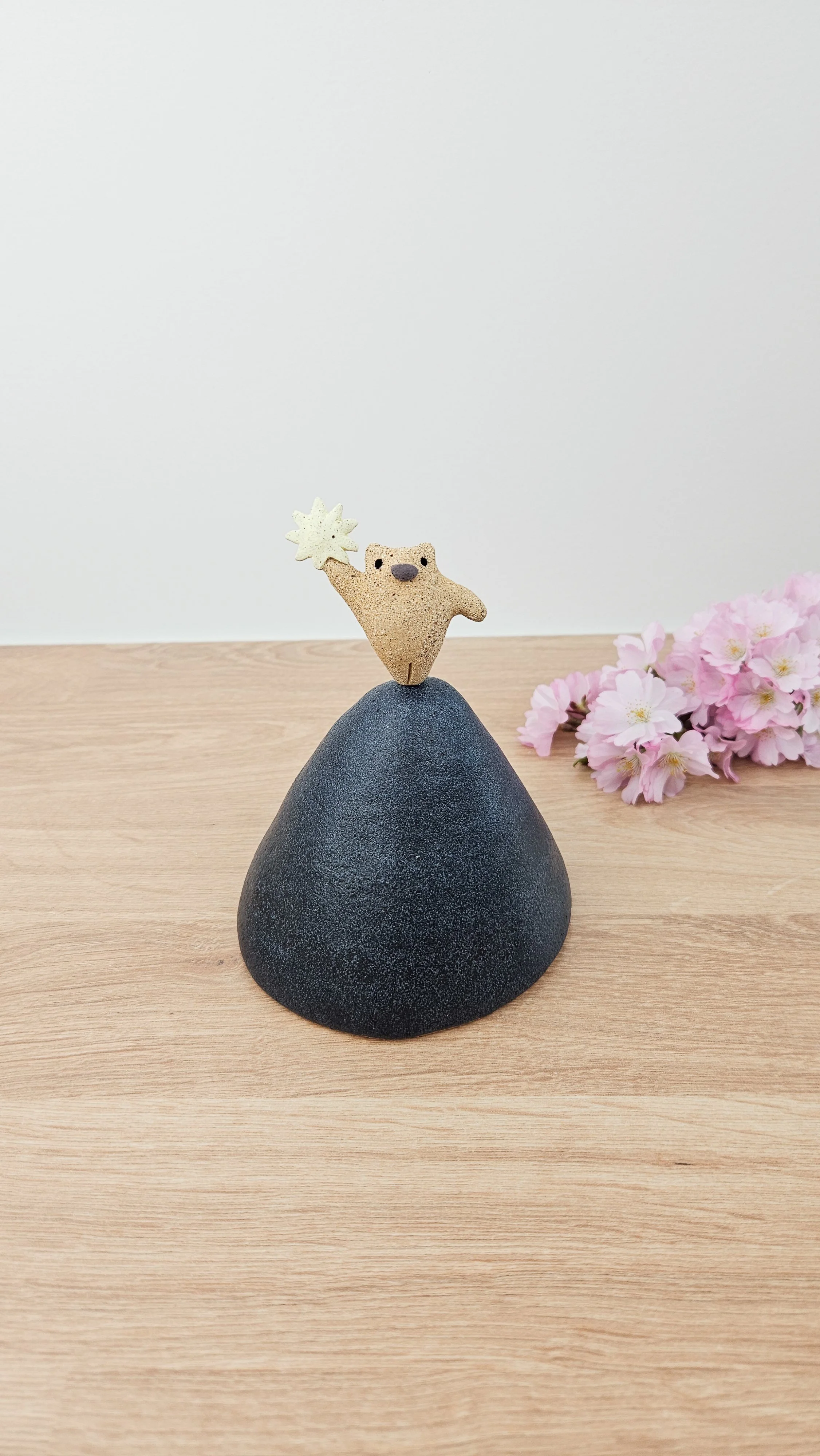 Danseur étoile 3 20260318_145337.jpg