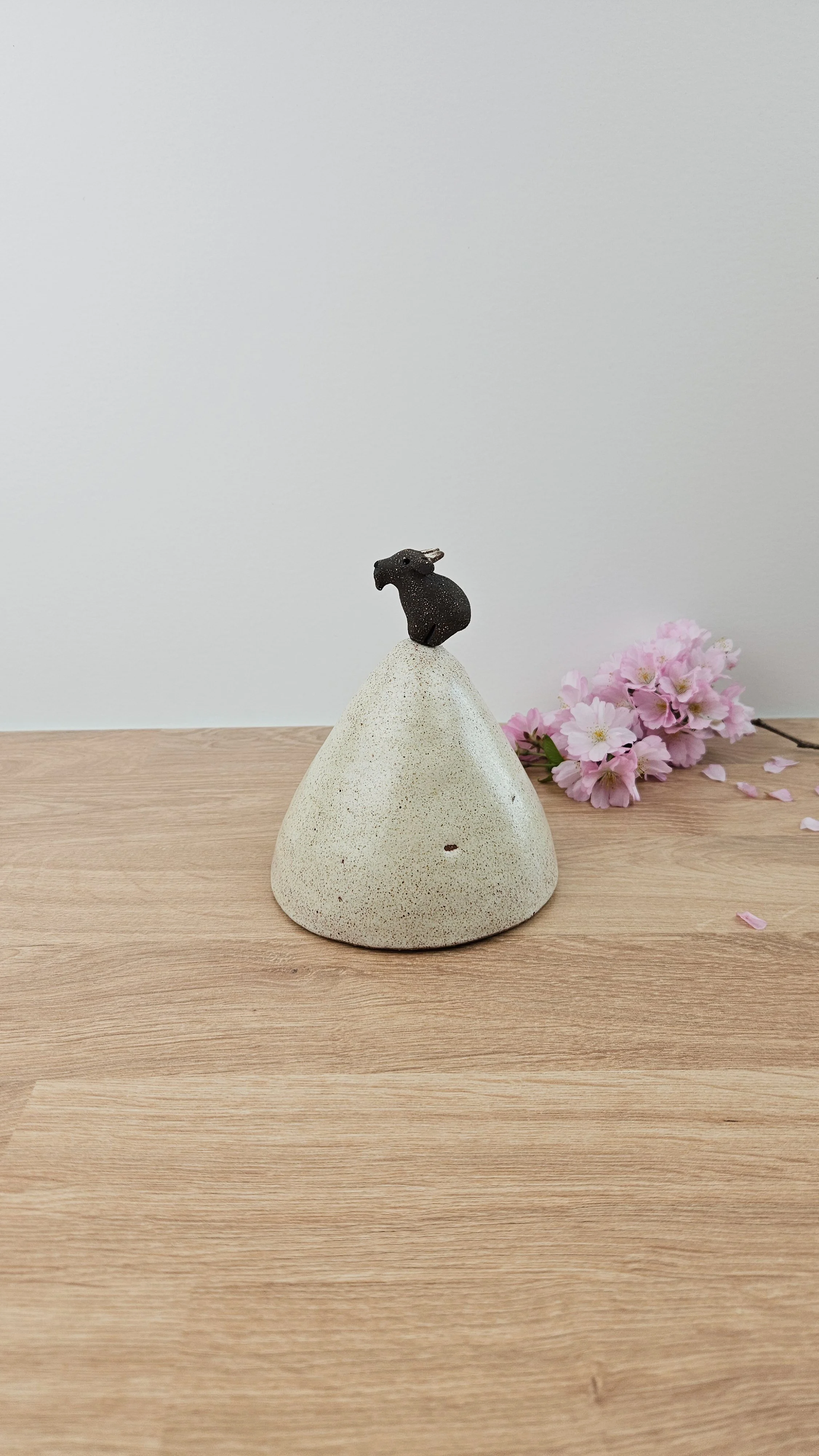 montagne biquette 120260319_142016.jpg