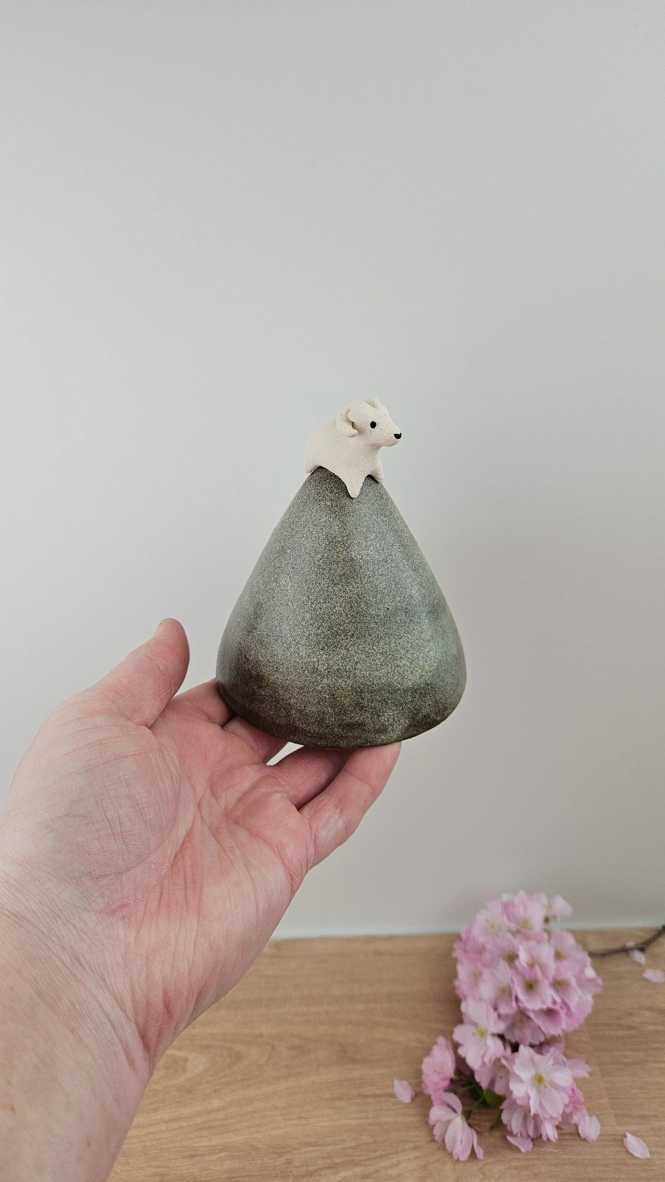 montagne Bouc 220260319_123816.jpg