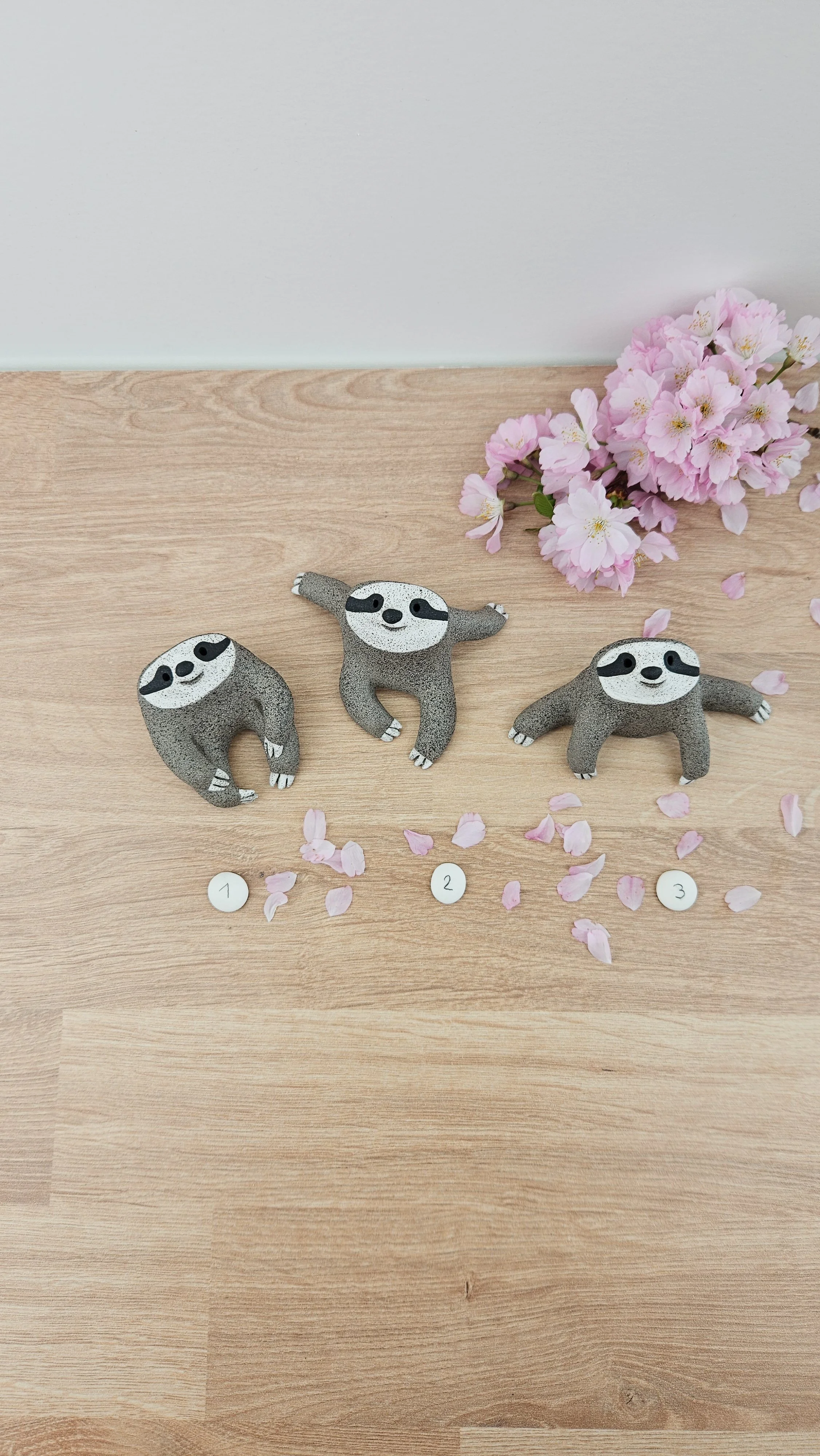 Mini paresseux20260319_140956.jpg