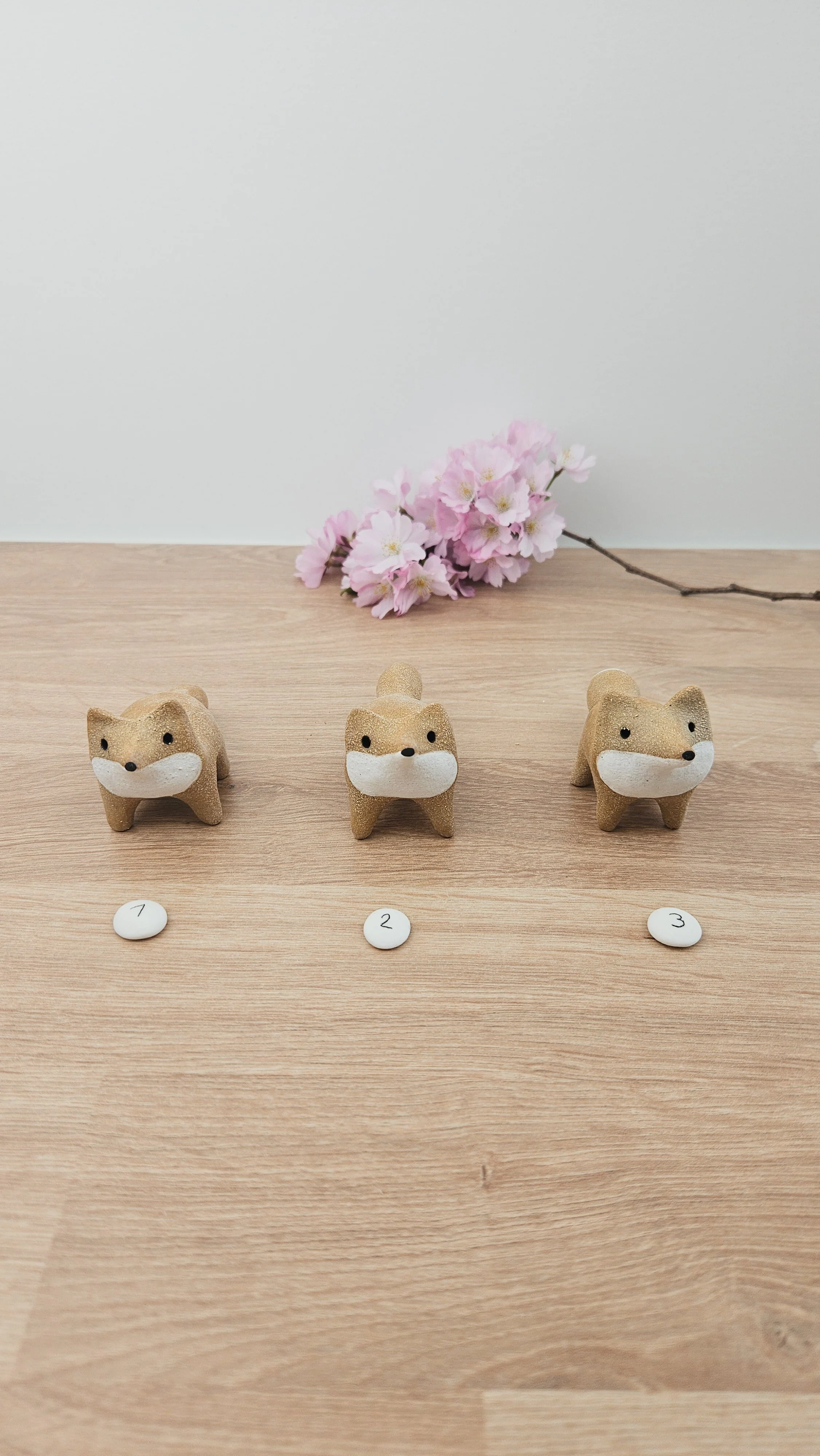 Mini Renard 20260318_140928.jpg