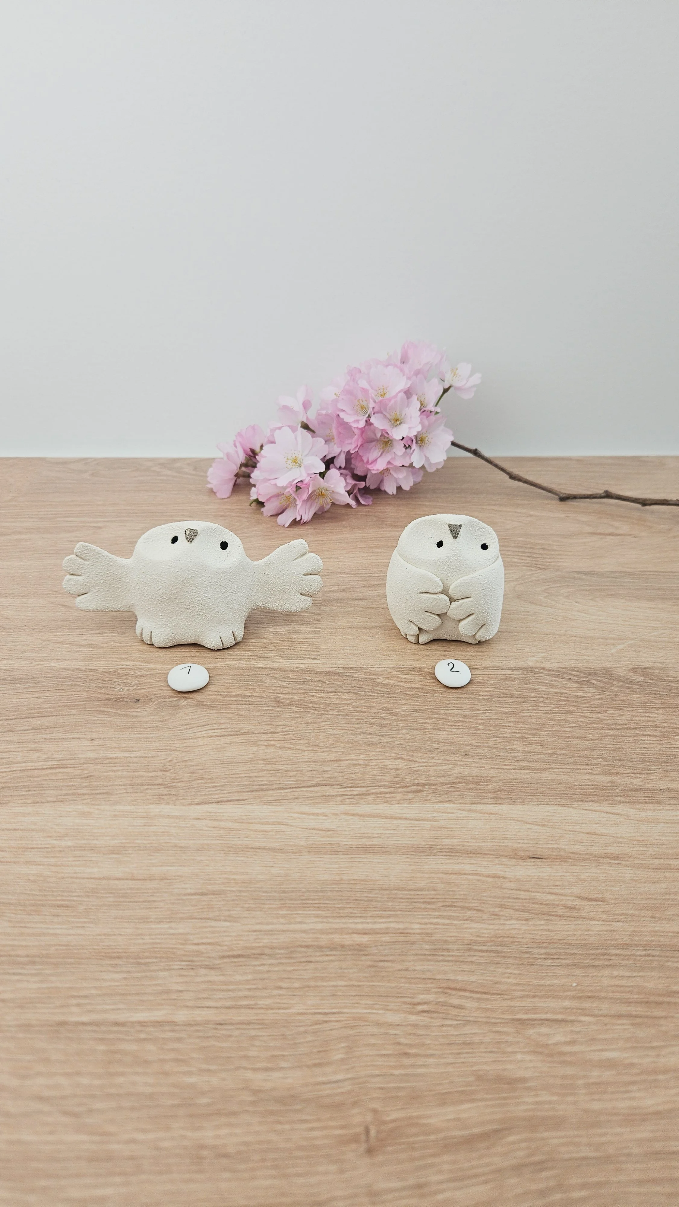 Mini Chouette20260318_133633.jpg