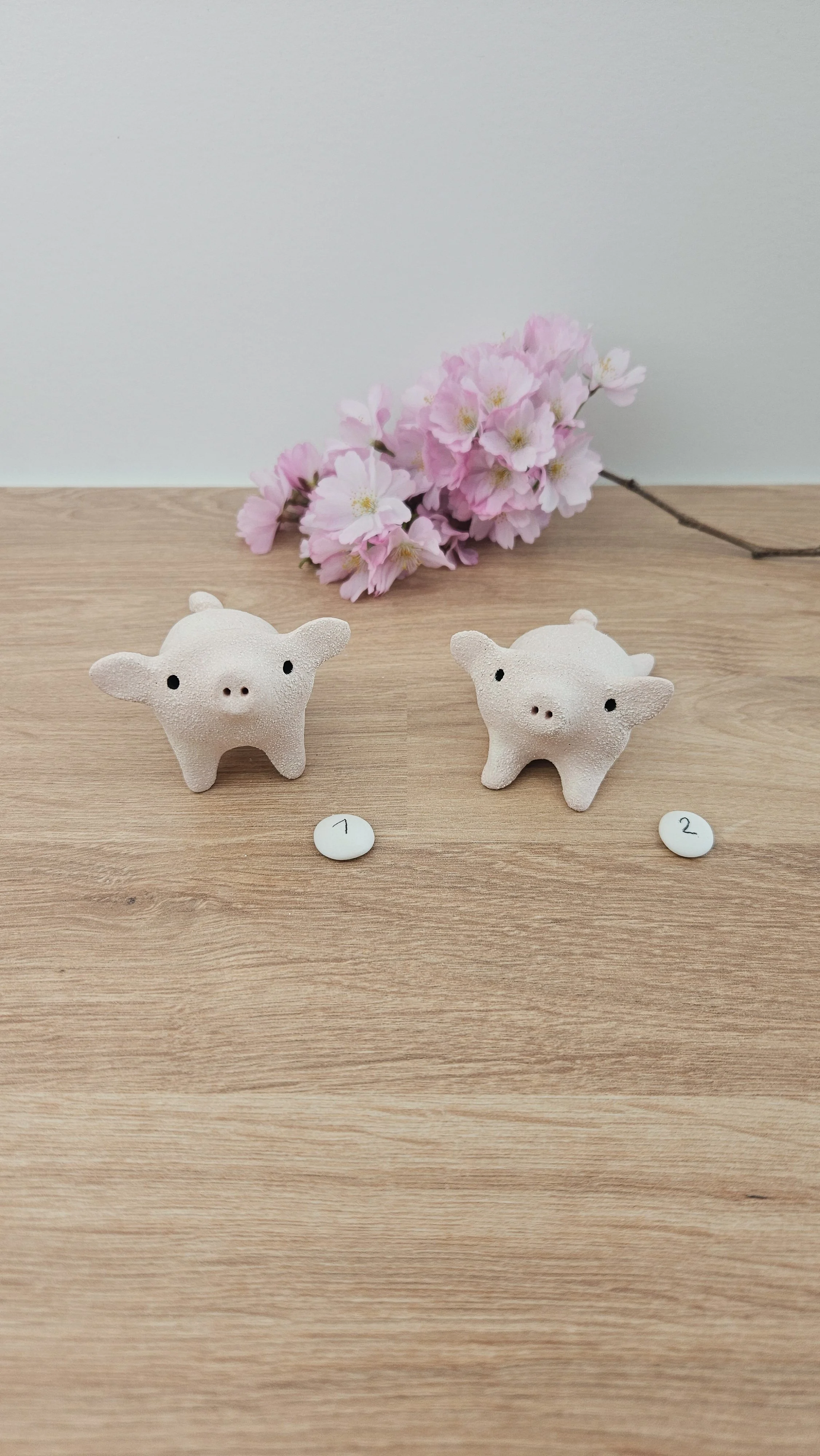 Mini cochon 20260318_133034.jpg