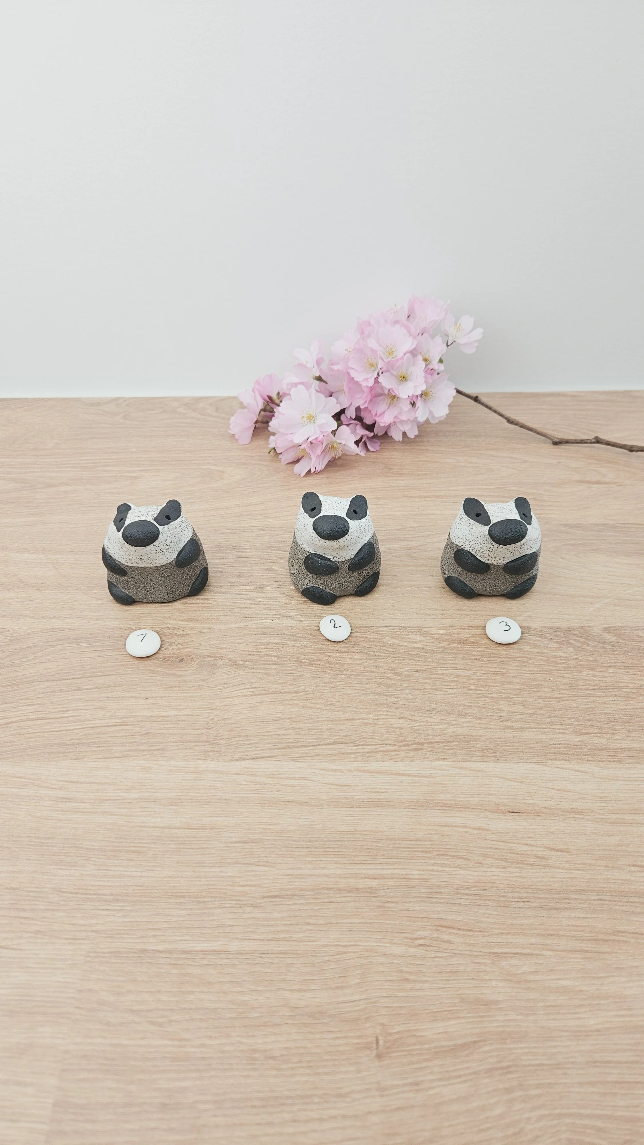 Mini Blaireau 20260318_134640.jpg