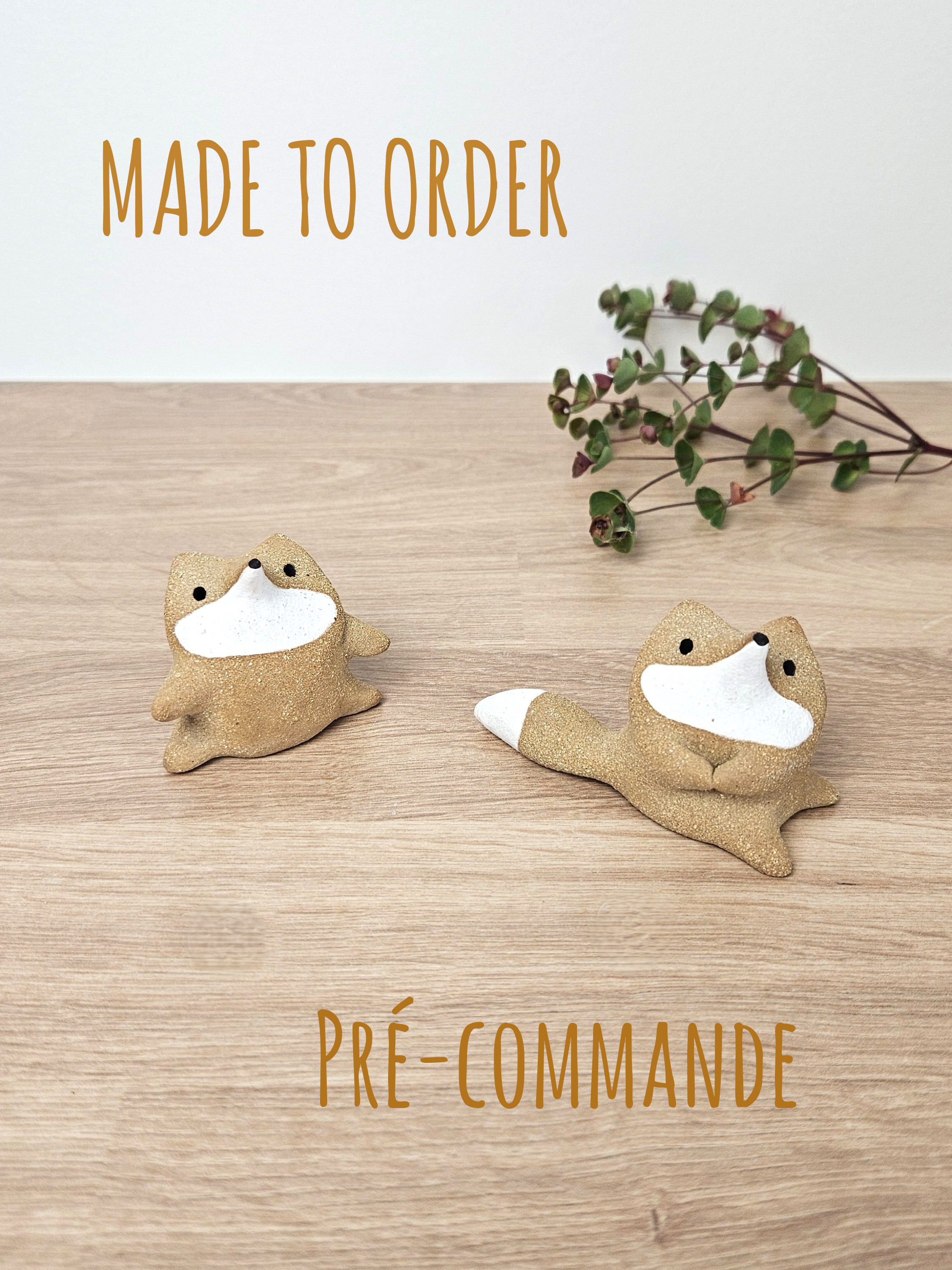 Pré-commande / Mini