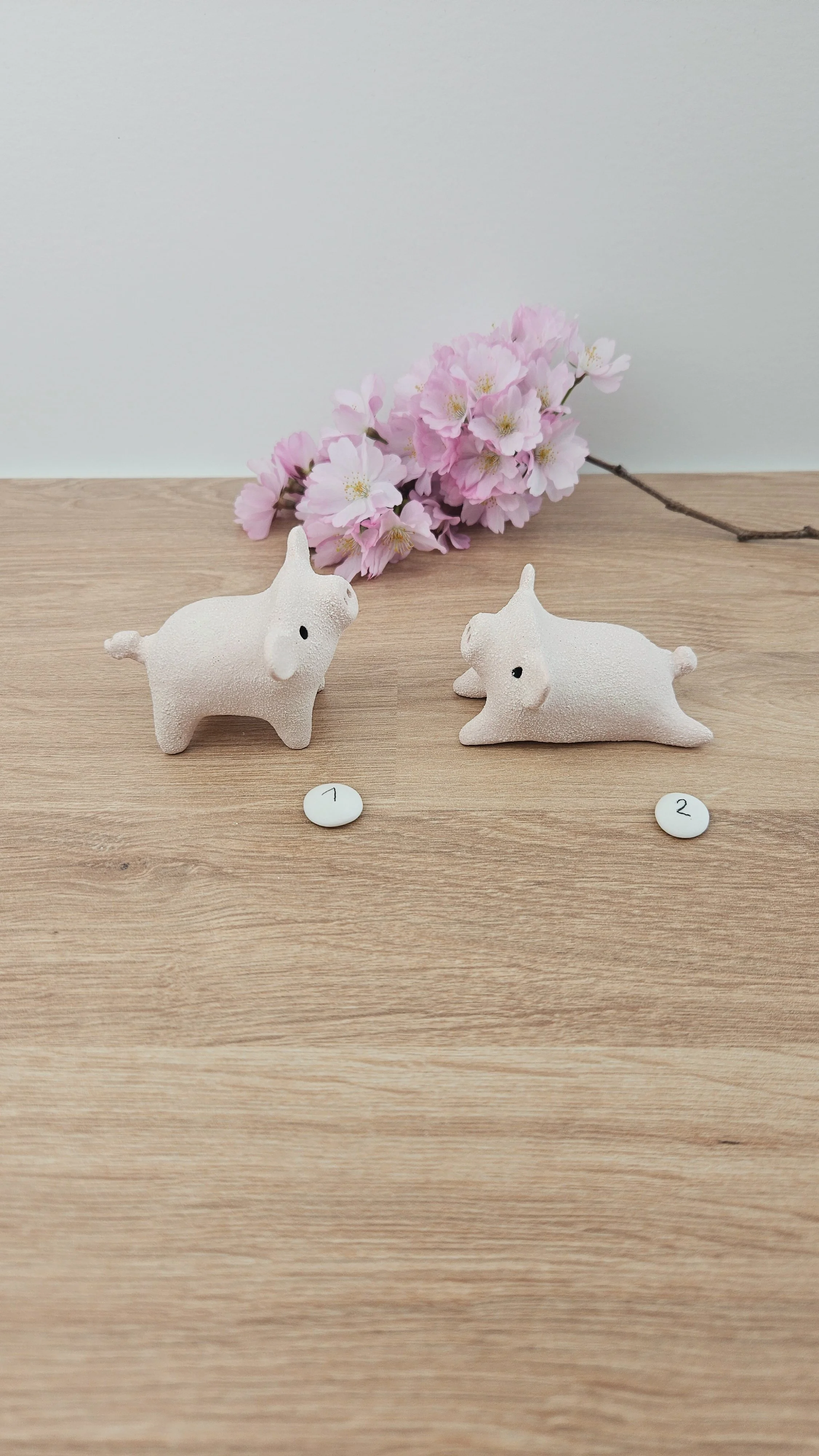 Mini cochon 20260318_133040.jpg