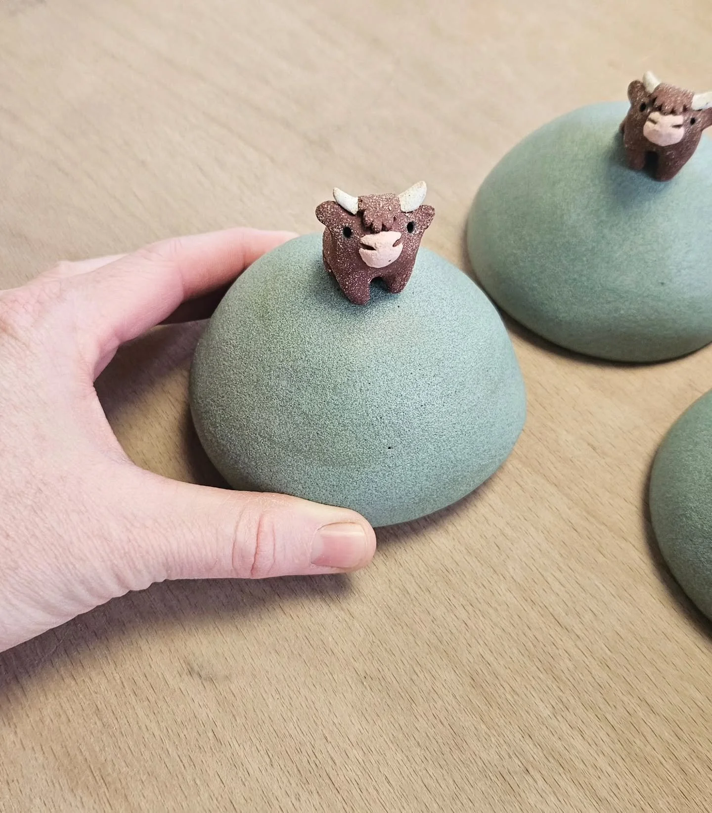 Ne sont-elles pas trop meugnonnes ? 😍😍😍

Alala si vous saviez la dose de mignonitude que j'ai pr&eacute;vu pour vous 😊

---

Aren't they too cute ? 😍😍😍

Alala if you knew how much cuteness I had planned for you.

#highland #highlandcow #vache 