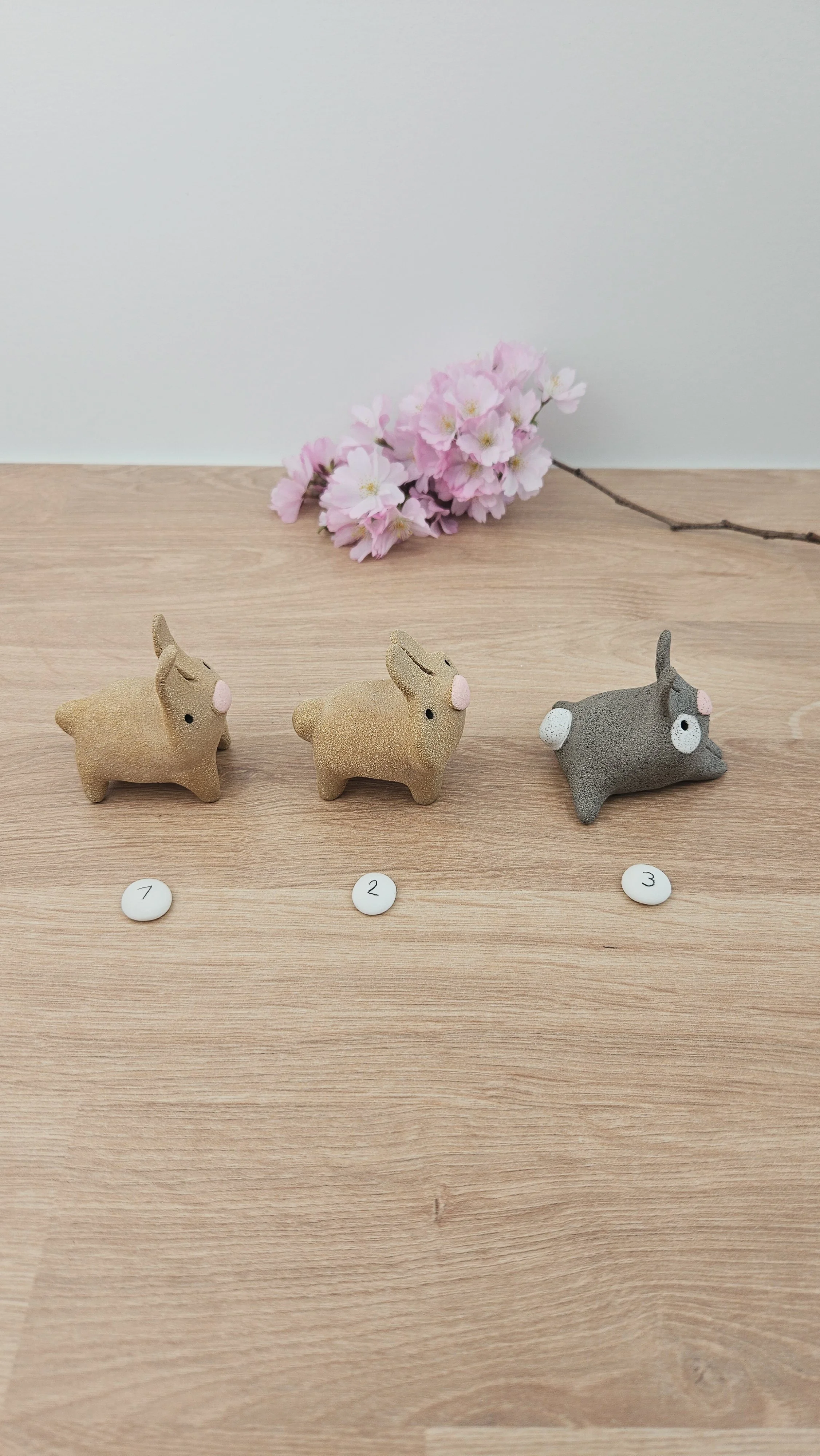 Mini Lapin20260318_141246.jpg